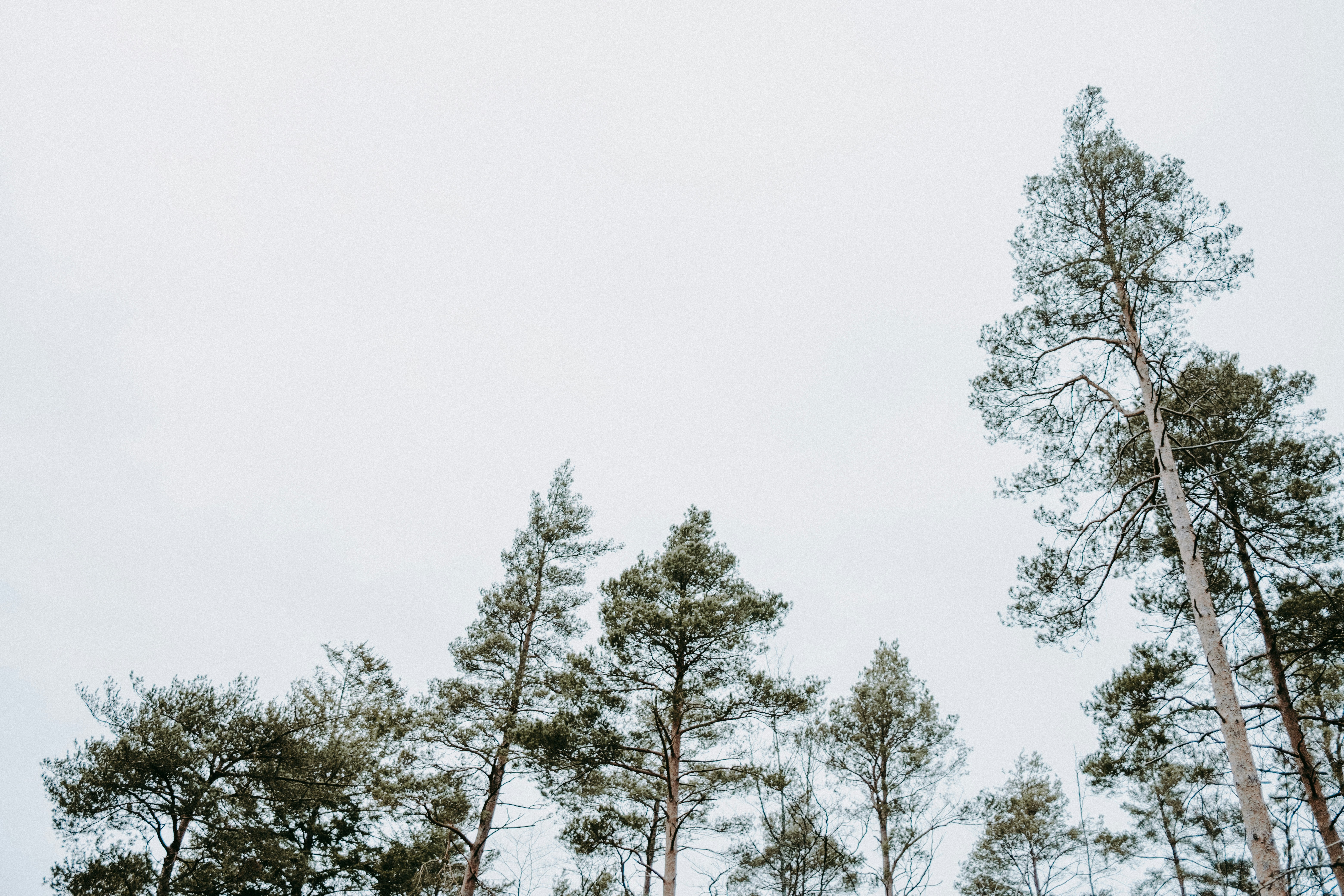 Photo by anniespratt