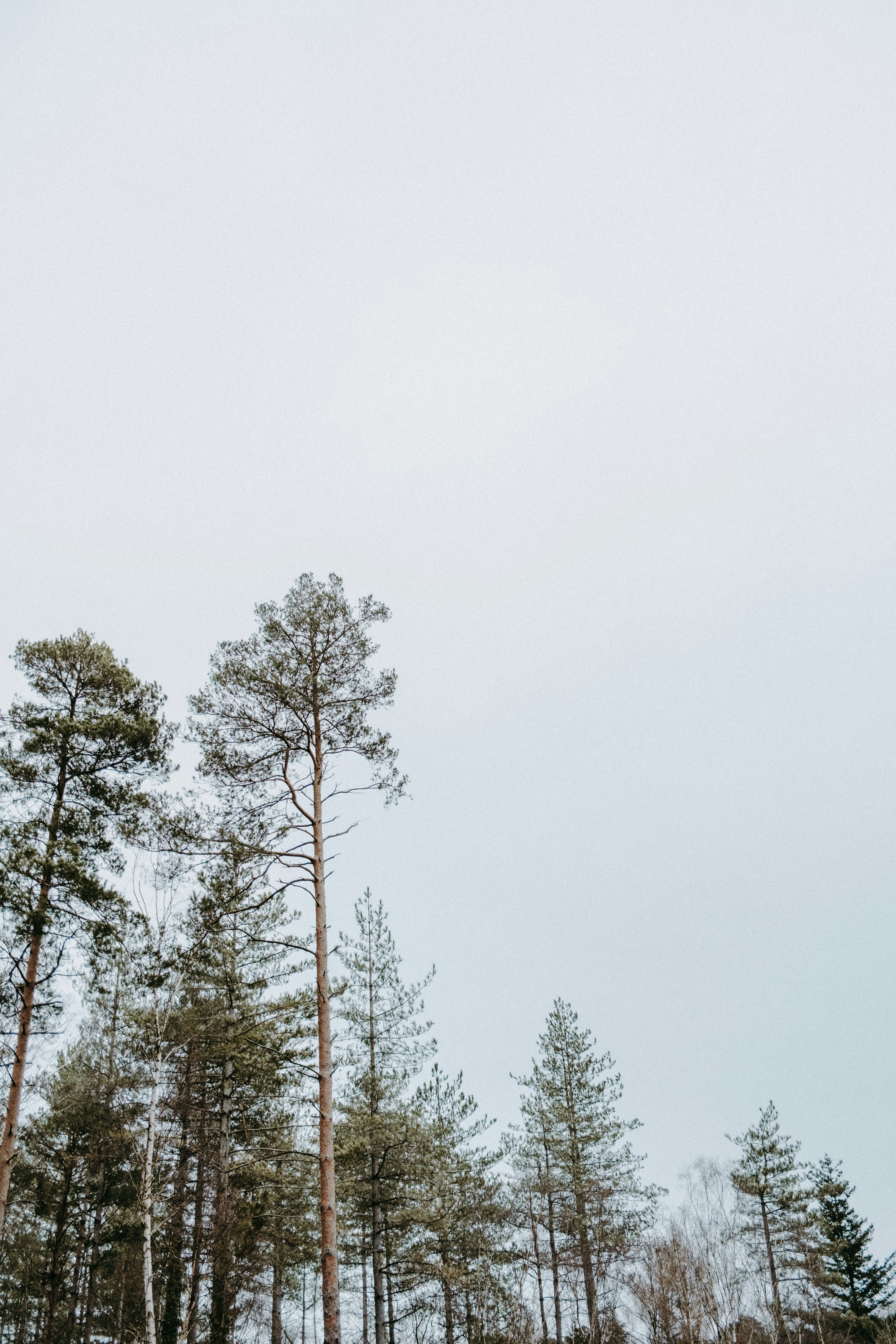 Photo by anniespratt