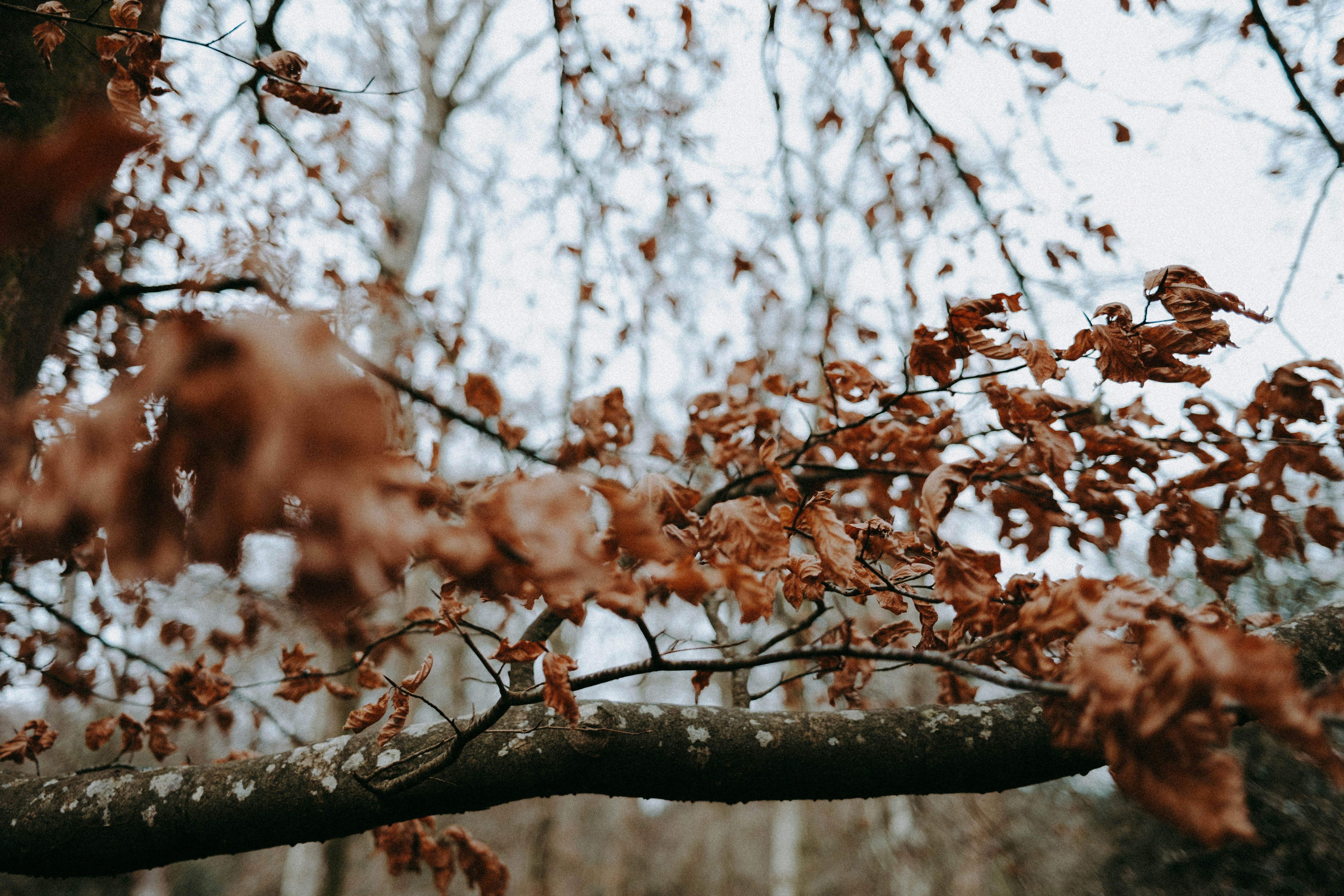 Photo by anniespratt