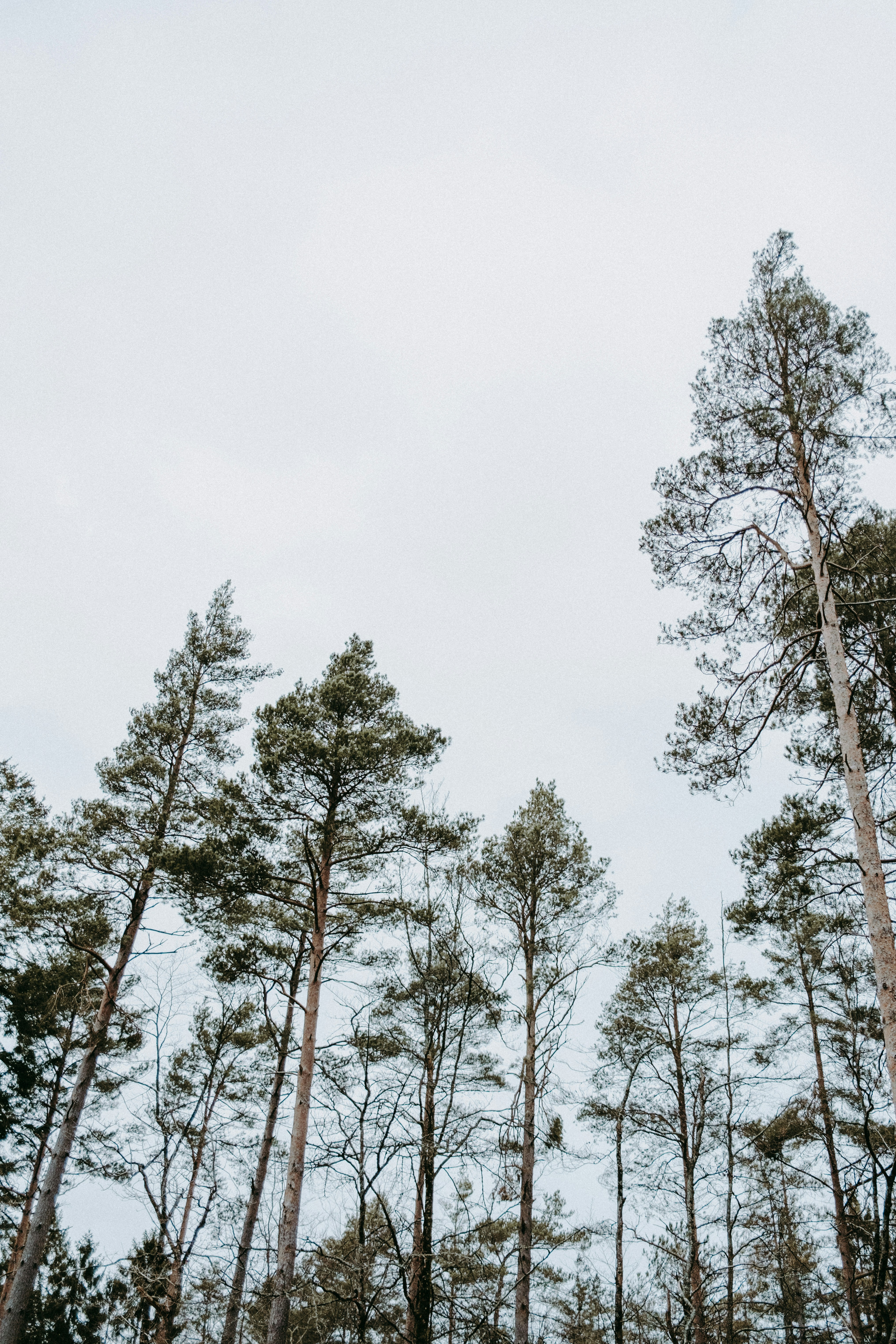 Photo by anniespratt