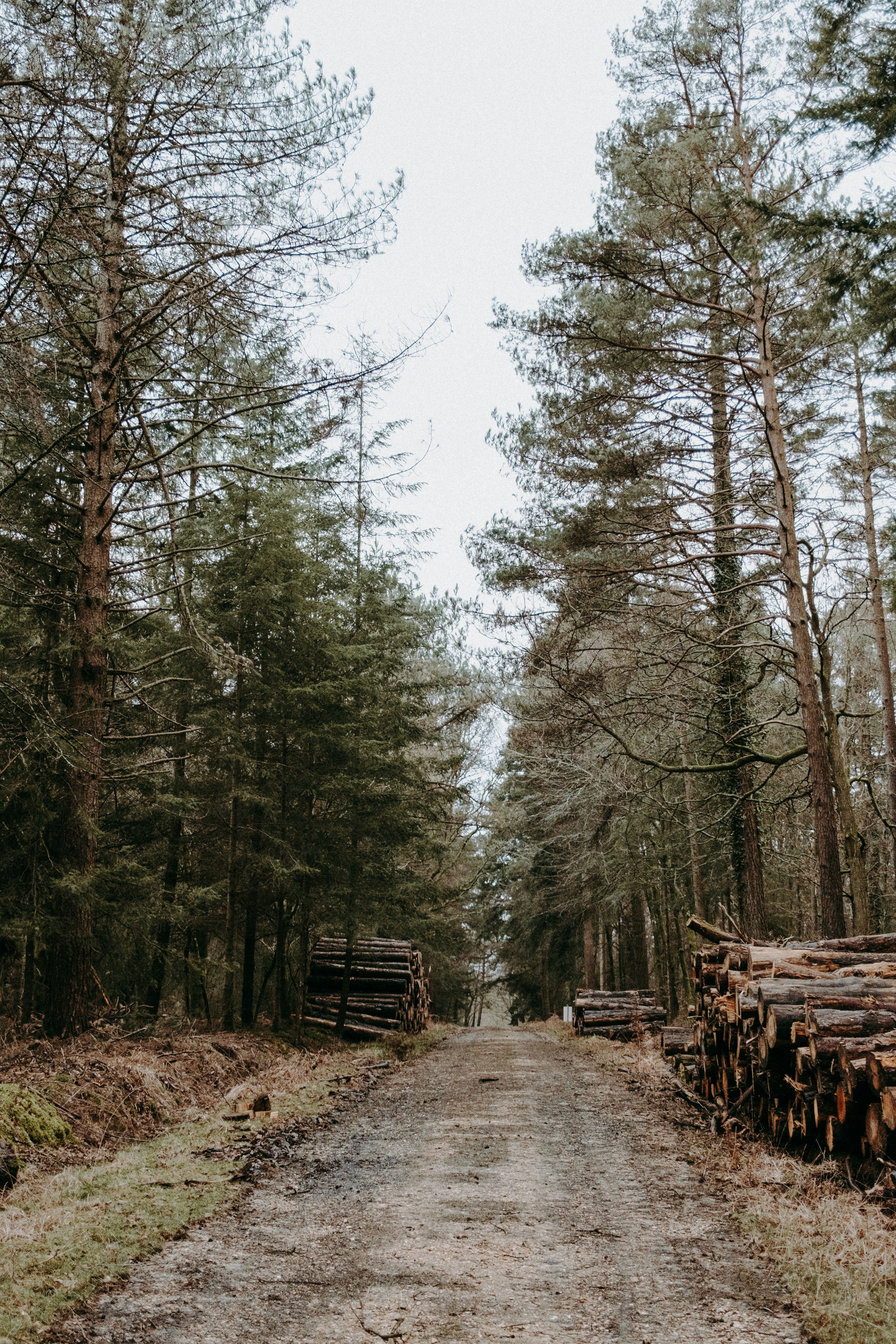 Photo by anniespratt