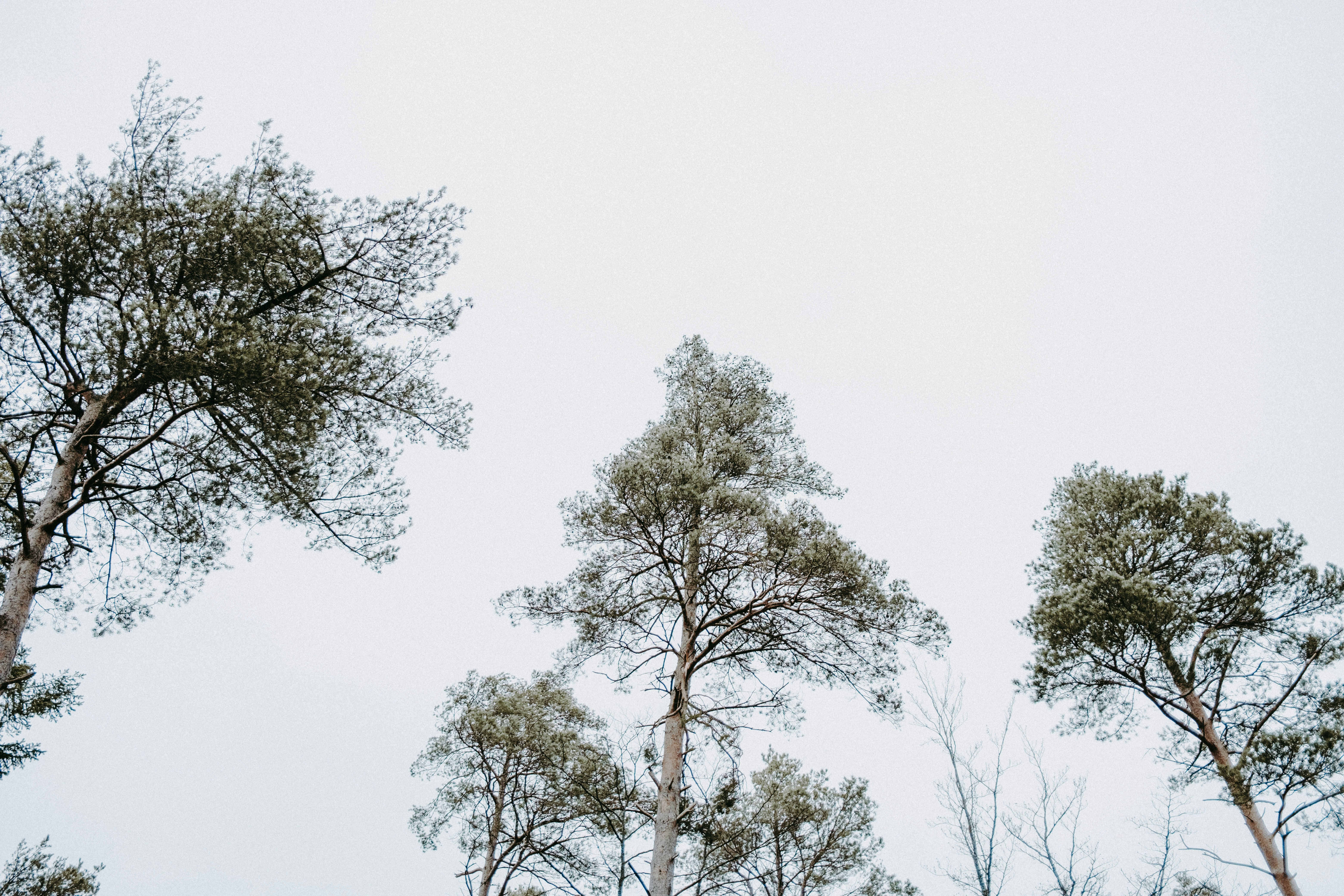 Photo by anniespratt