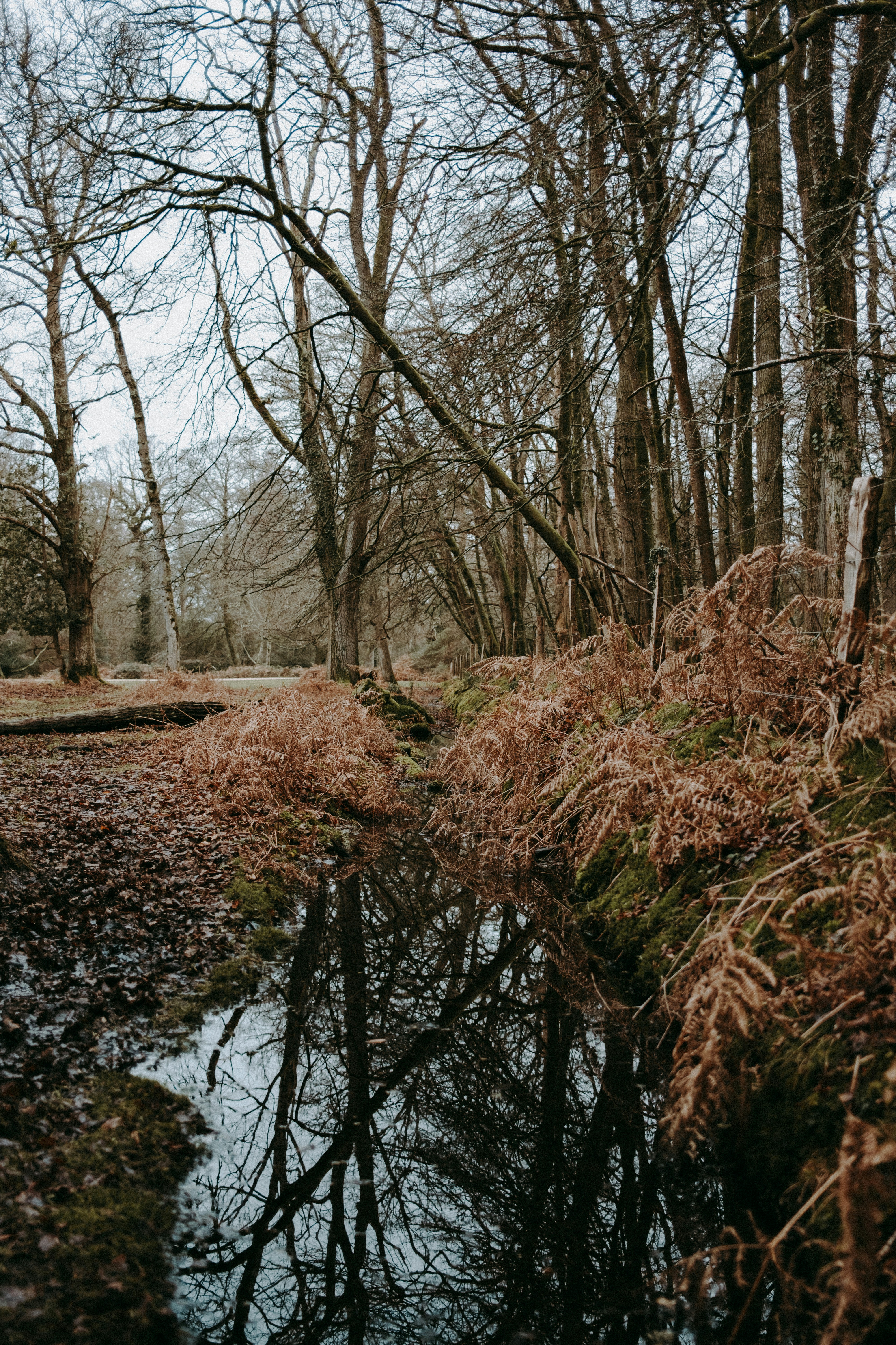 Photo by anniespratt