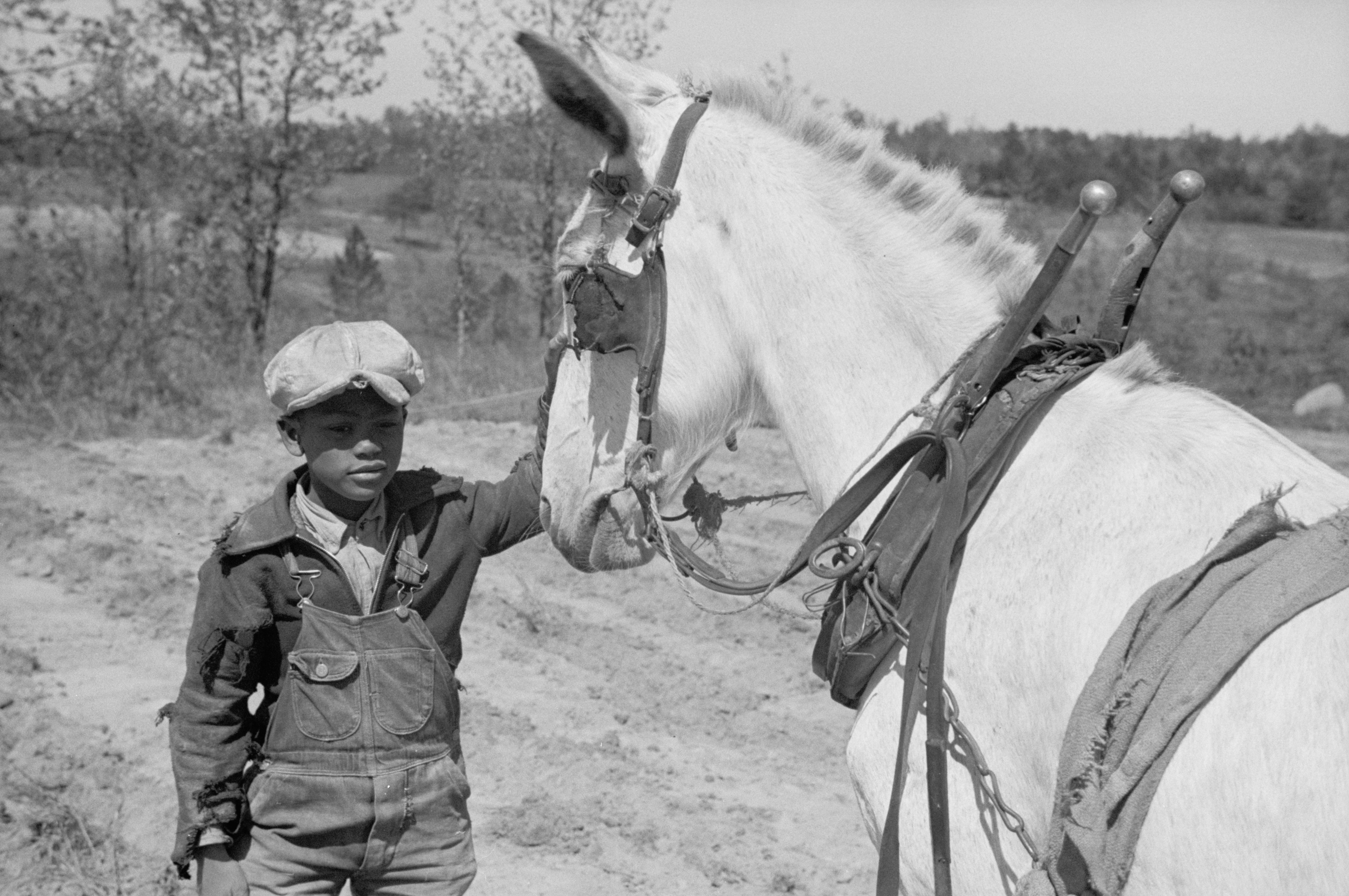 Guilford County, North Carolina