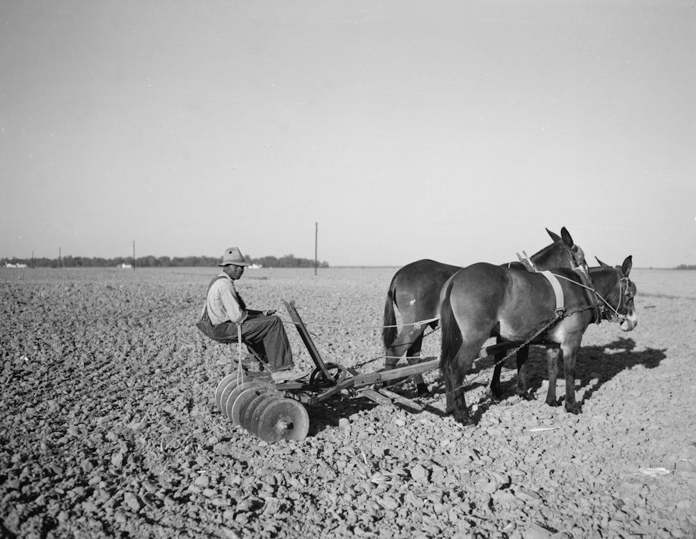 African American farmer preparing a field for planting with a disc harrow pulled by two mules