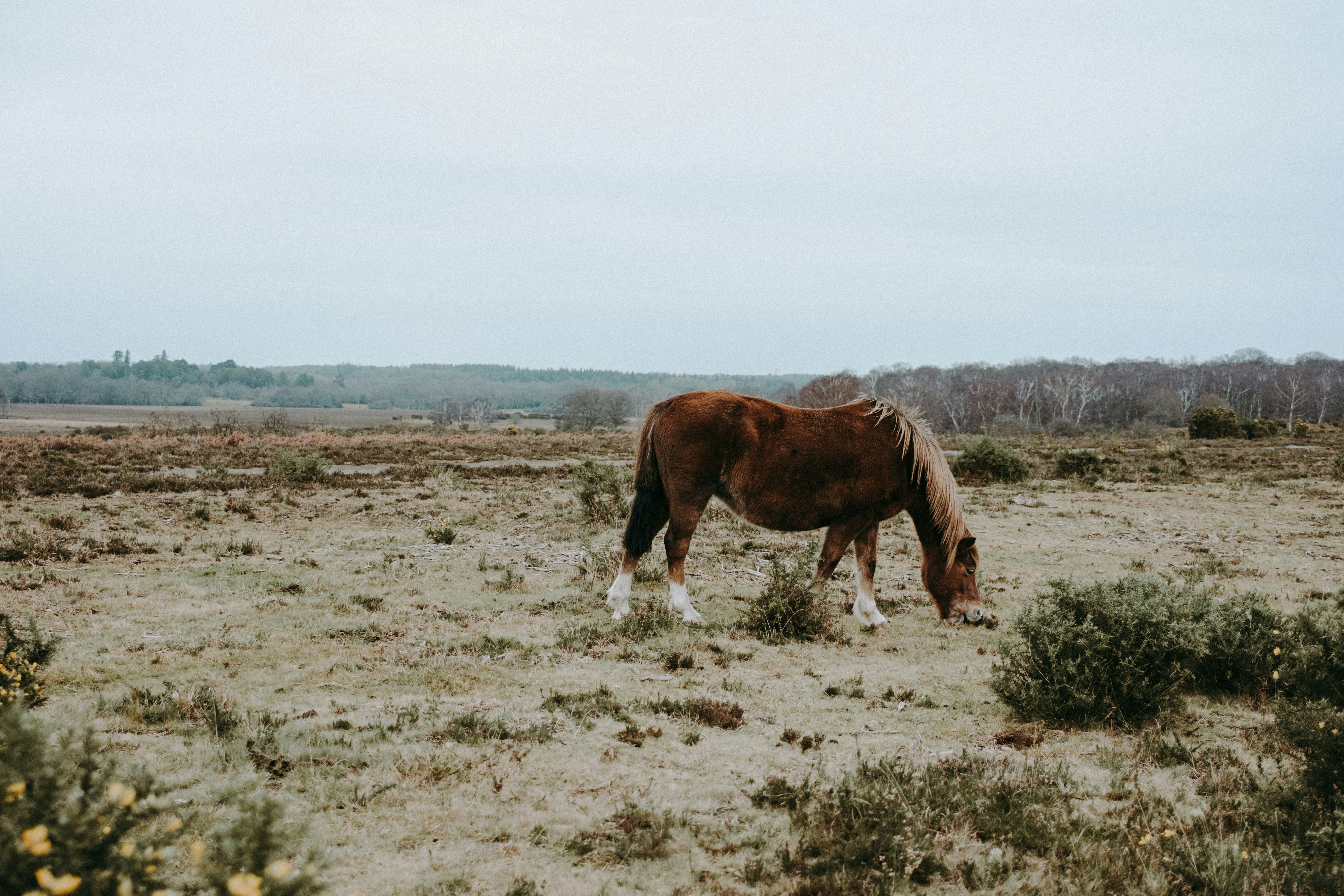 Photo by anniespratt