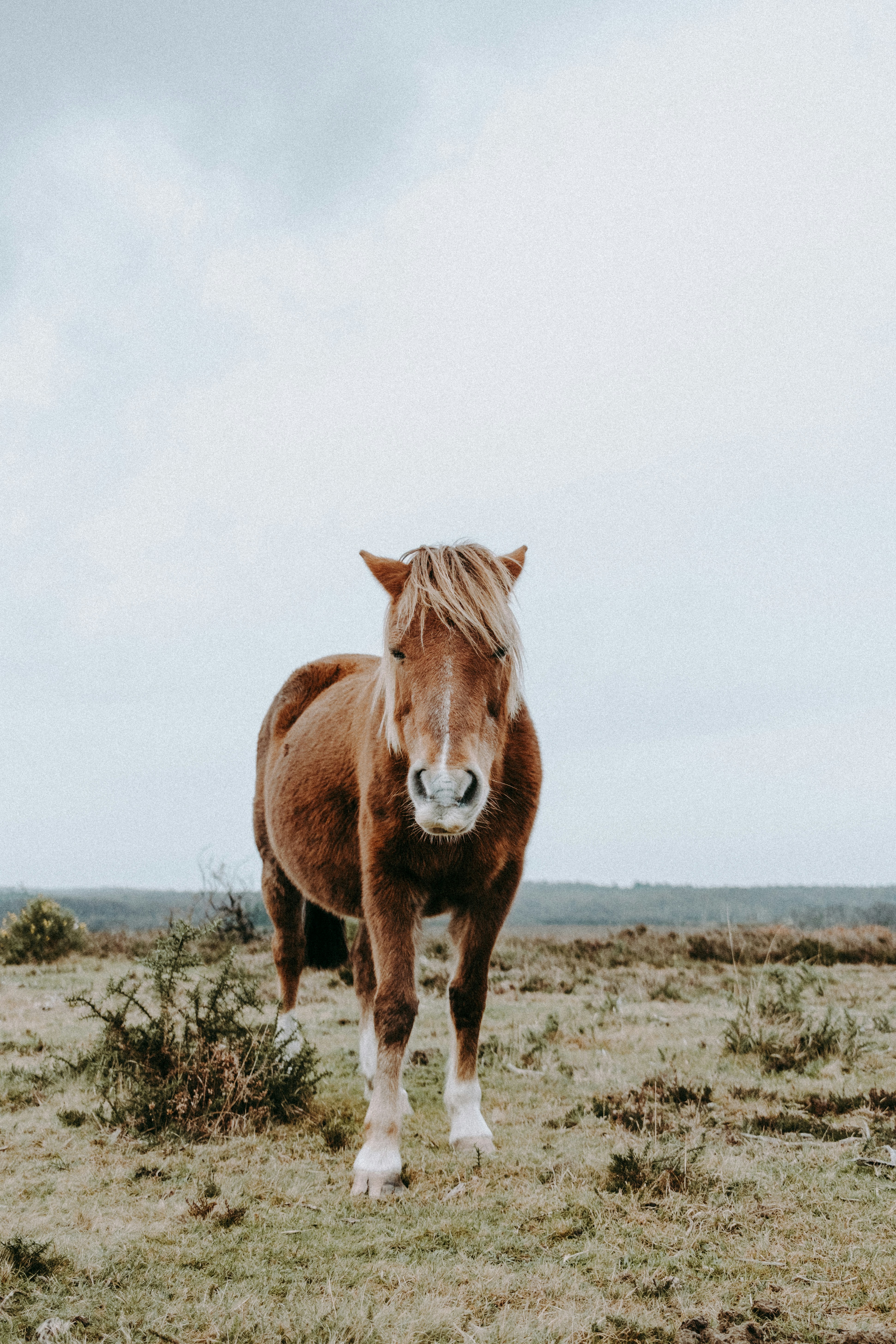 Photo by anniespratt