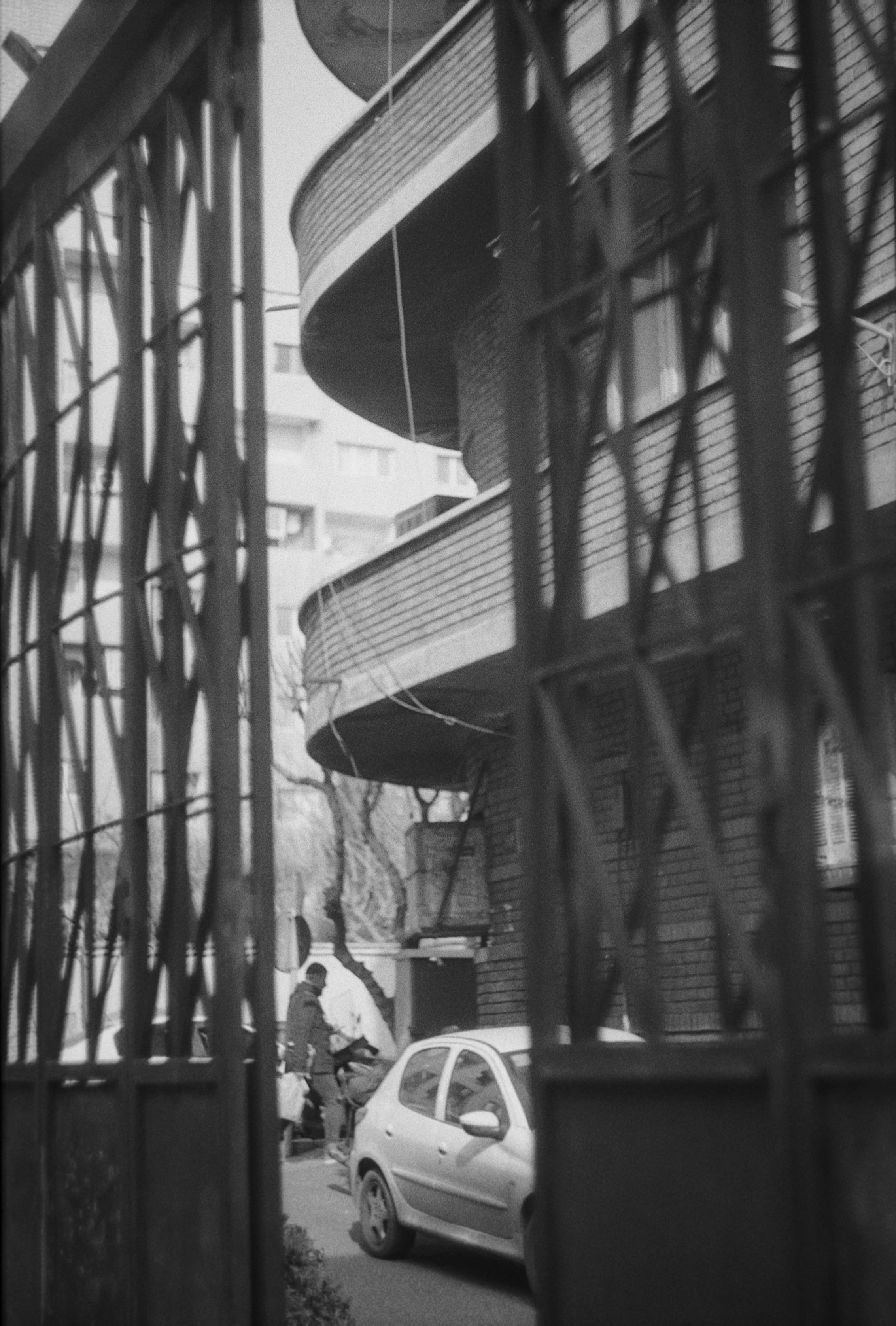 Photo by anitarahalzadeh