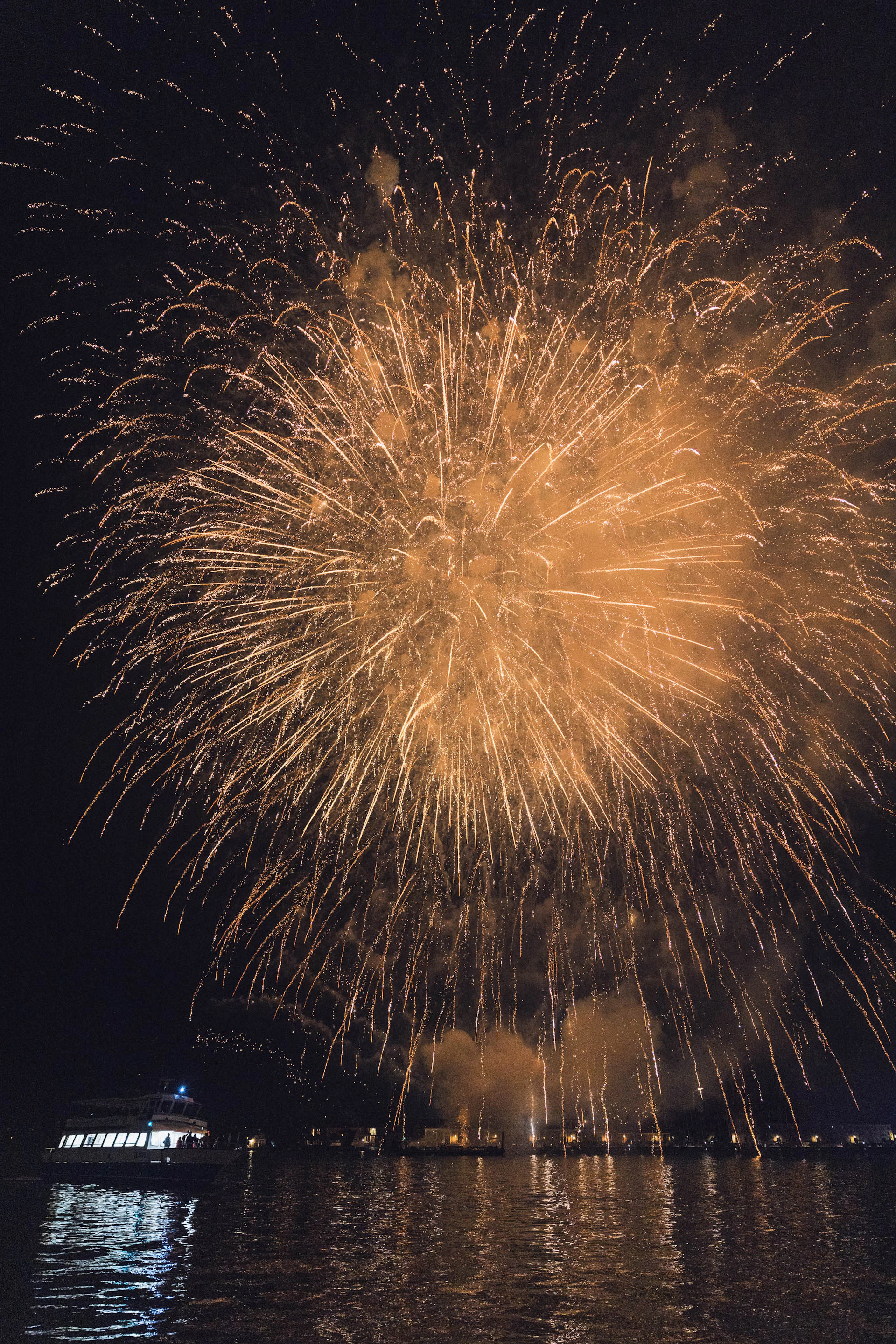 a large fireworks is lit up in the night sky