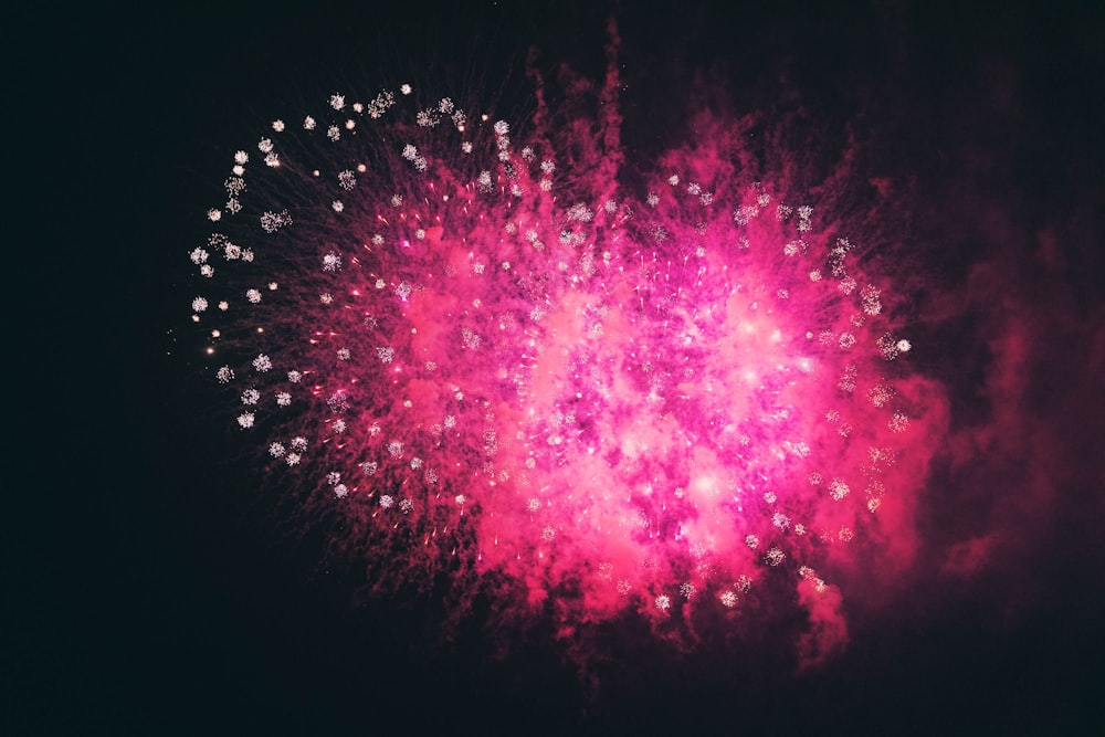 a pink firework exploding in the night sky