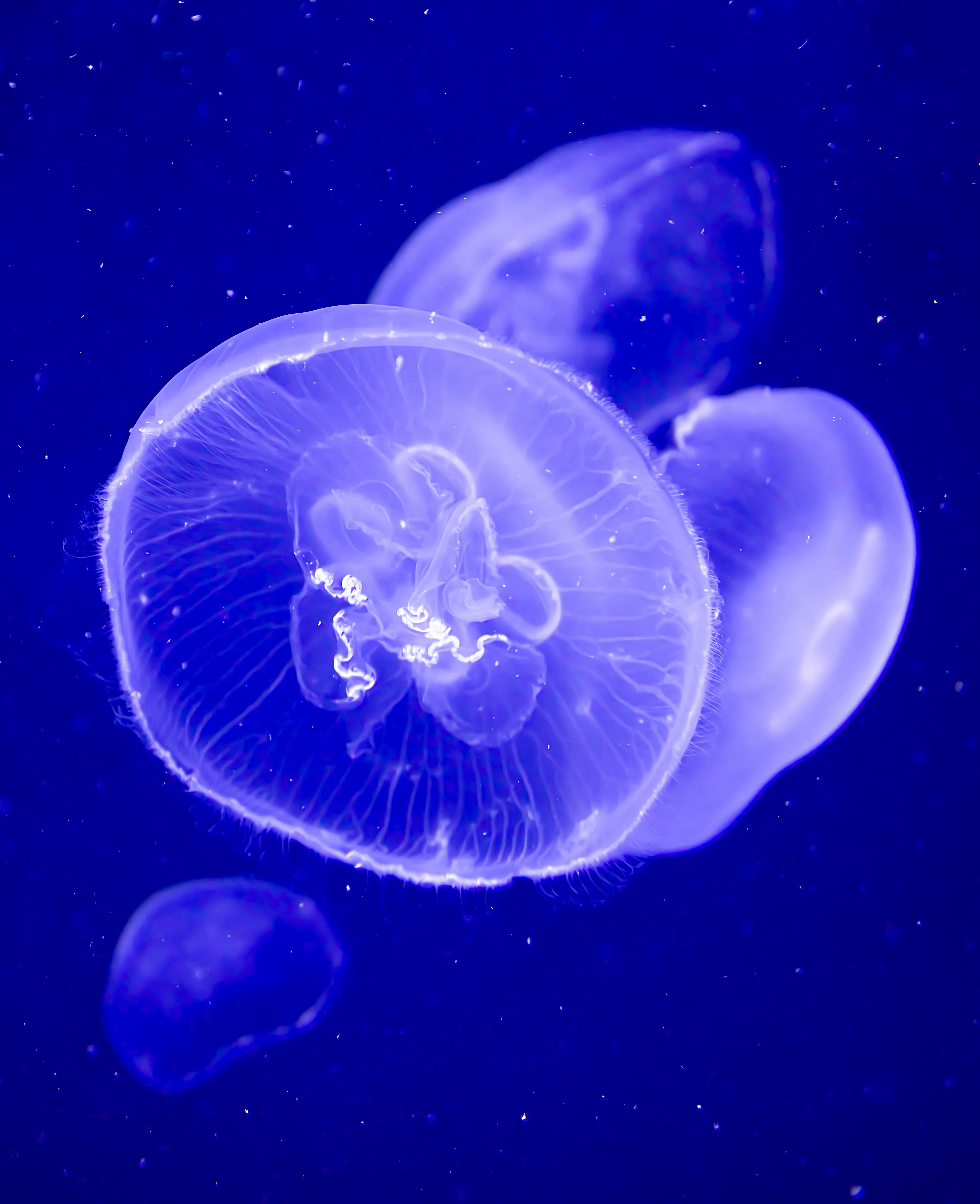 Photo by peterbbryan