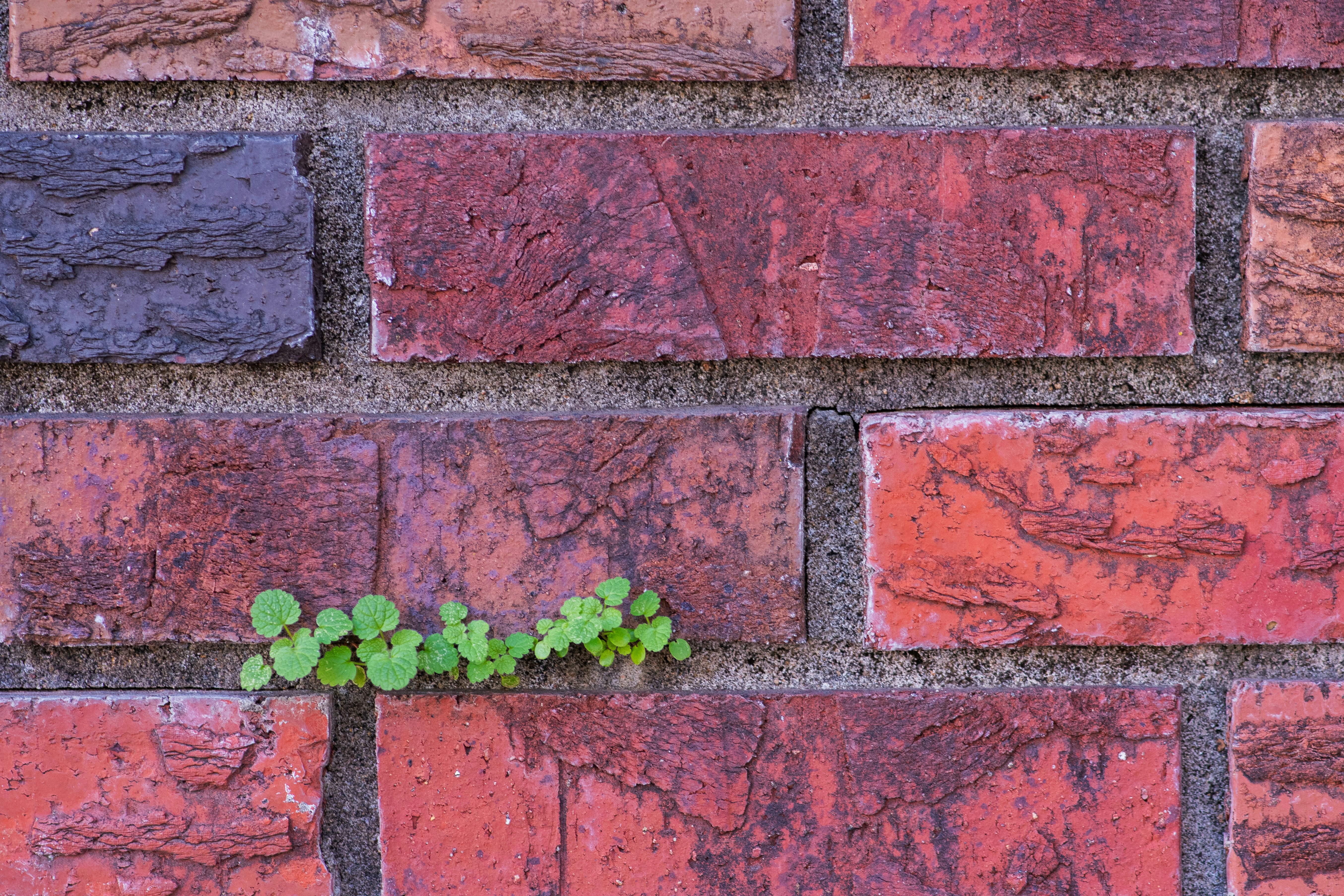 Photo by bjwhite66212