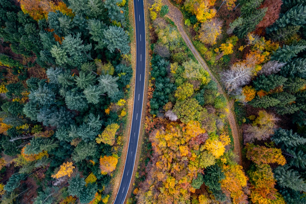 an aerial view of a road surrounded by trees