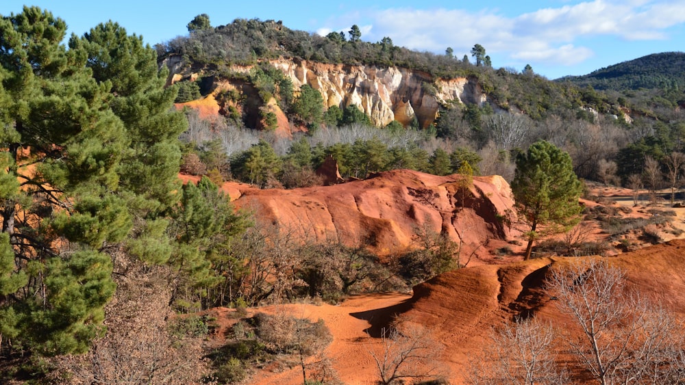 une vue d’une montagne rocheuse avec des arbres sur le côté