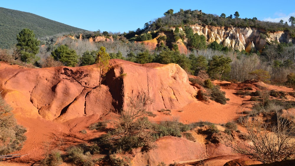 a large rock formation in the middle of a forest