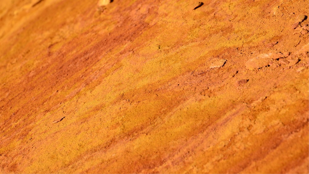 a close up of a yellow and brown surface