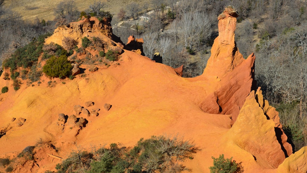 an aerial view of a rocky area with trees and bushes