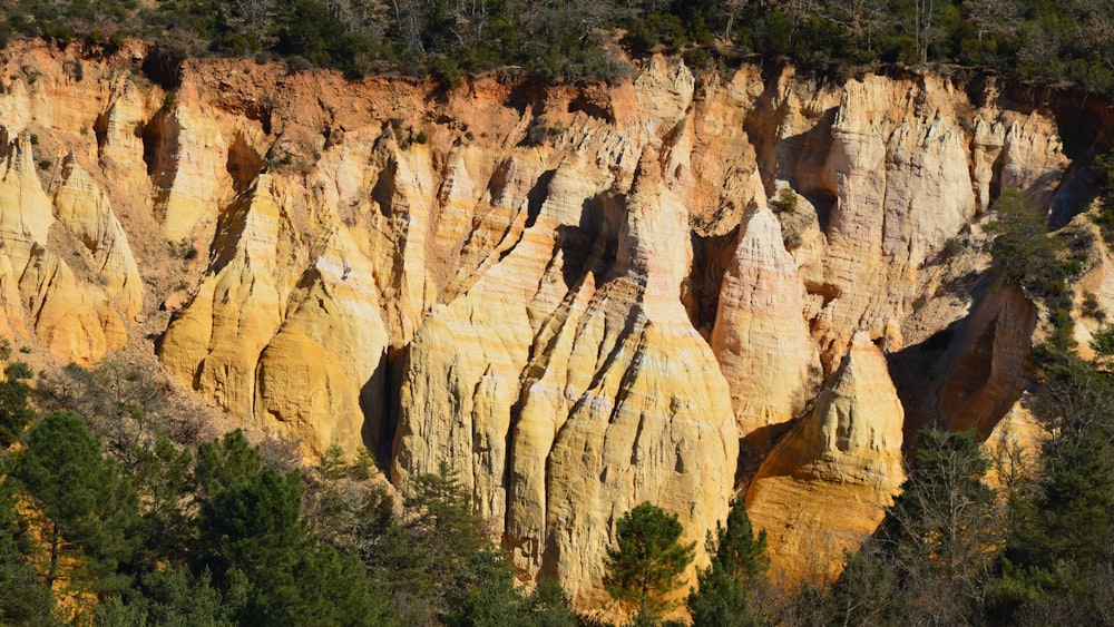 a group of large rocks in the middle of a forest