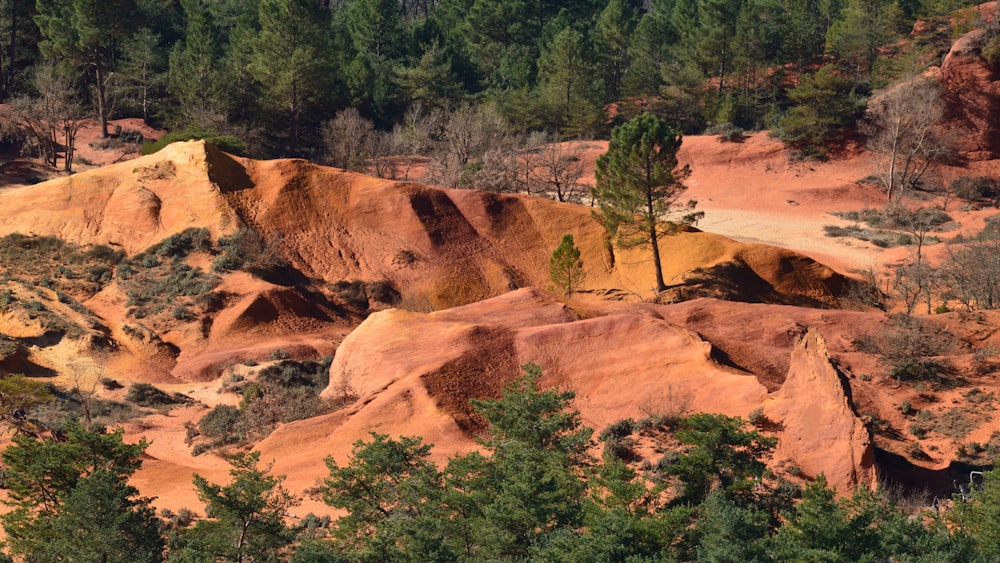 un chemin de terre entouré d’arbres et de rochers