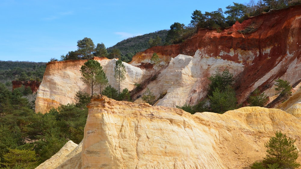 a large rock formation in the middle of a forest