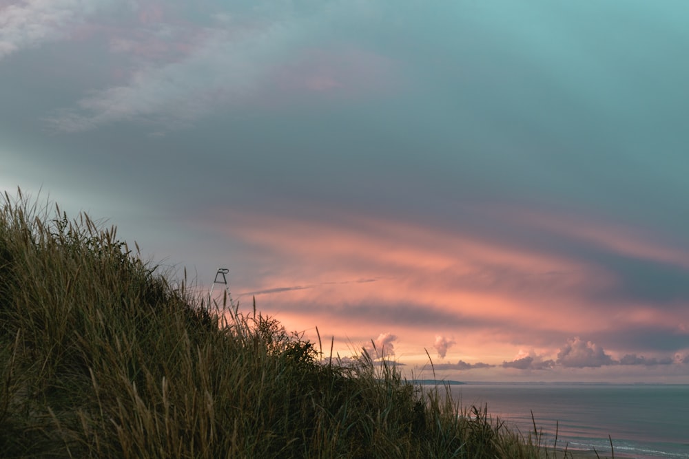 a view of the ocean from the top of a hill