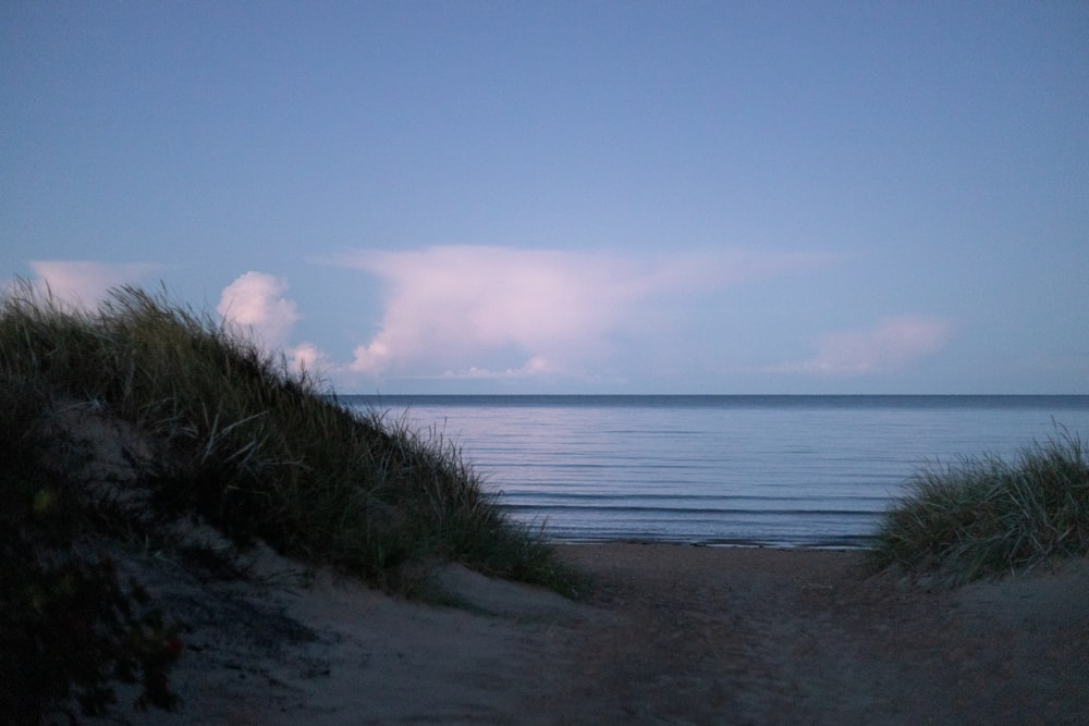 a path leading to the ocean on a beach