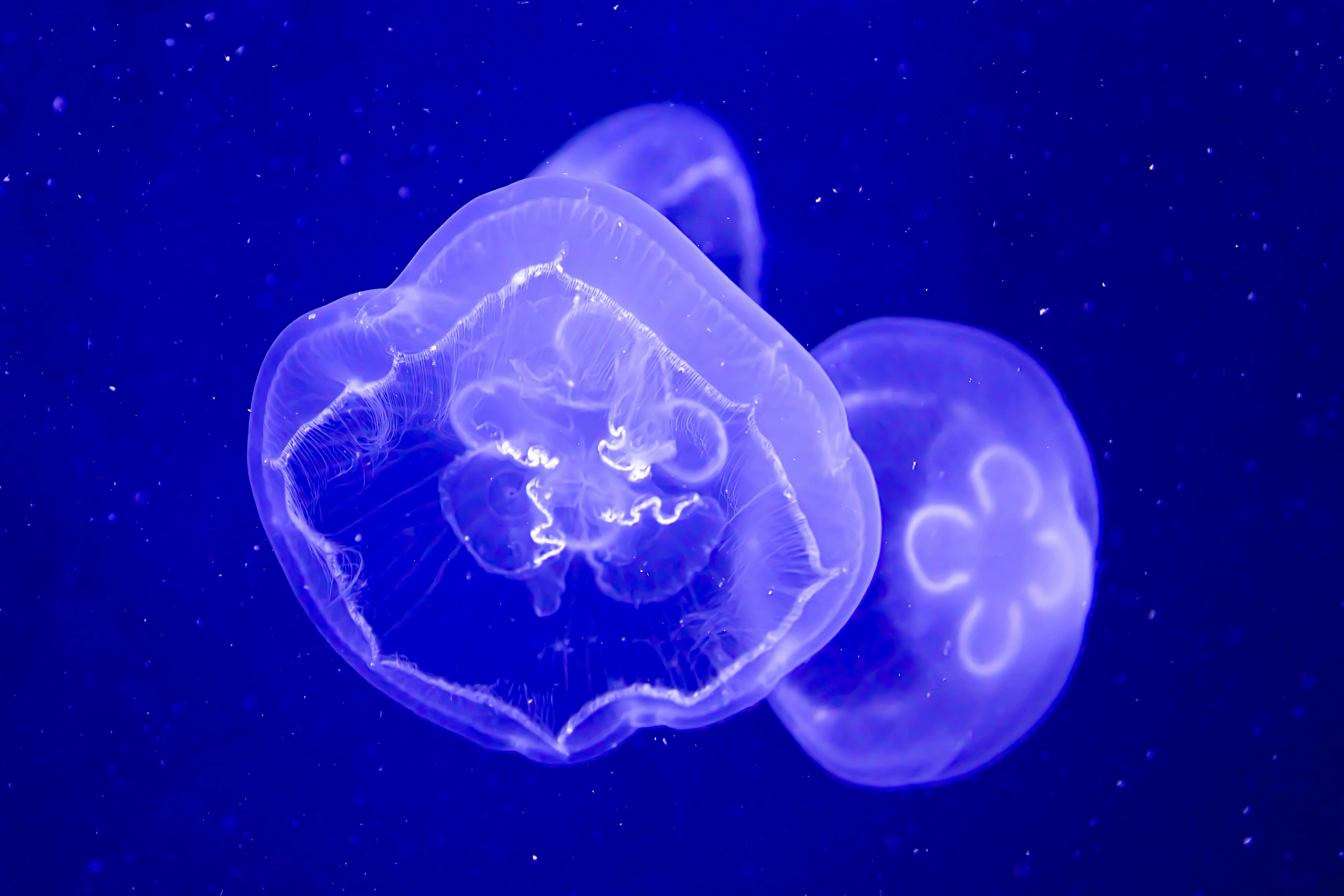 Photo by peterbbryan