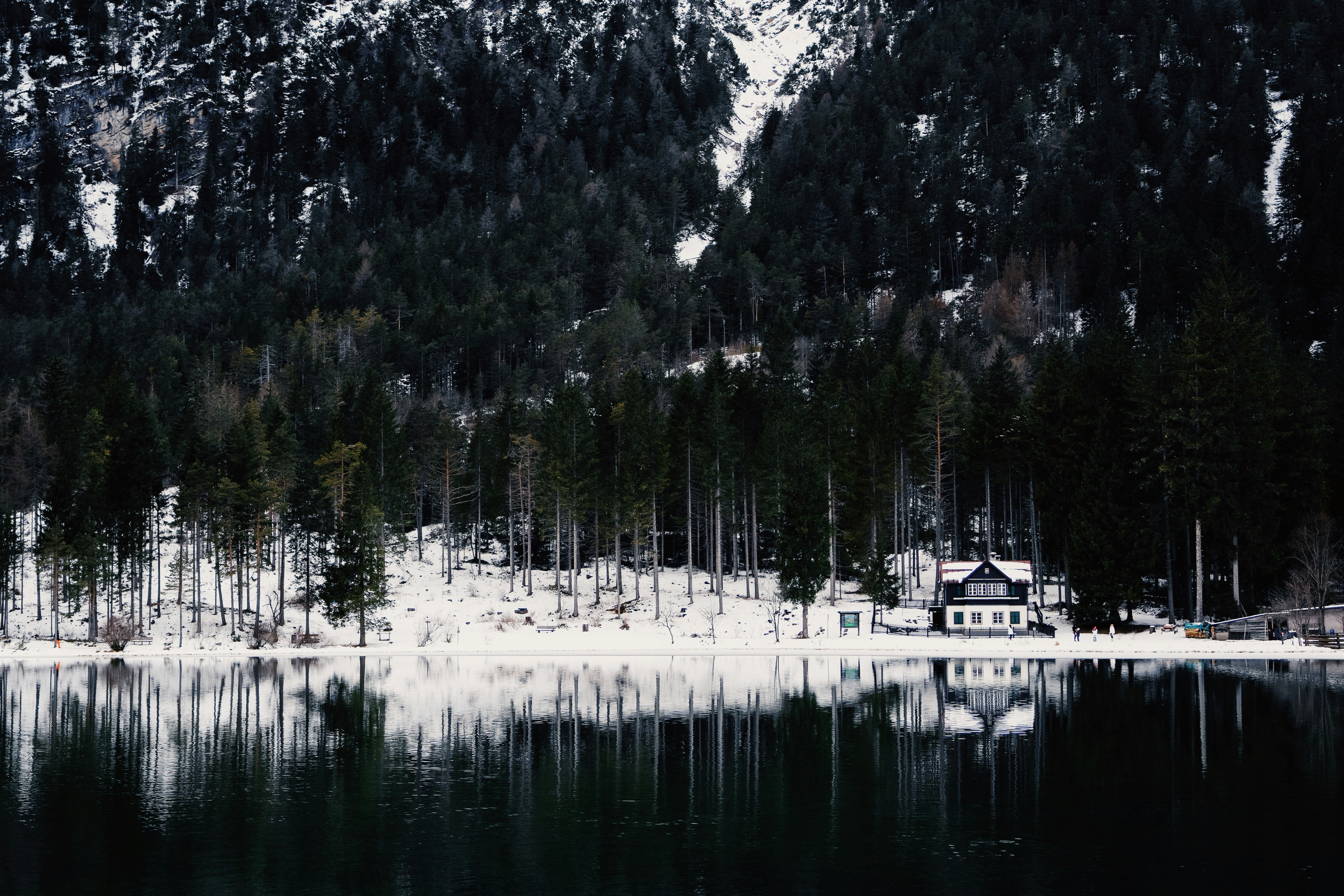 Photo by junshen