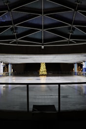 a large room with a christmas tree inside of it