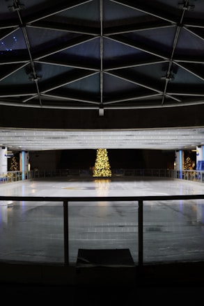 a large room with a christmas tree inside of it