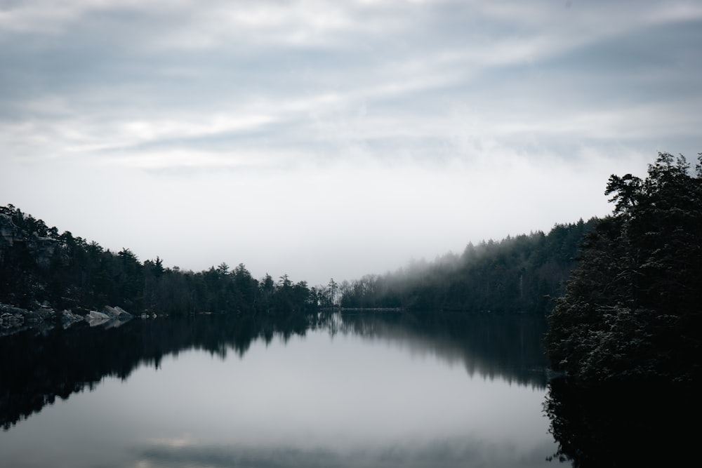 a body of water surrounded by trees on a cloudy day