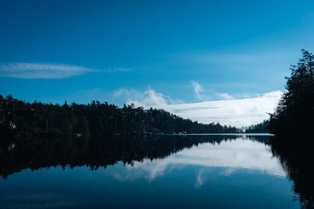 a body of water surrounded by forest under a blue sky