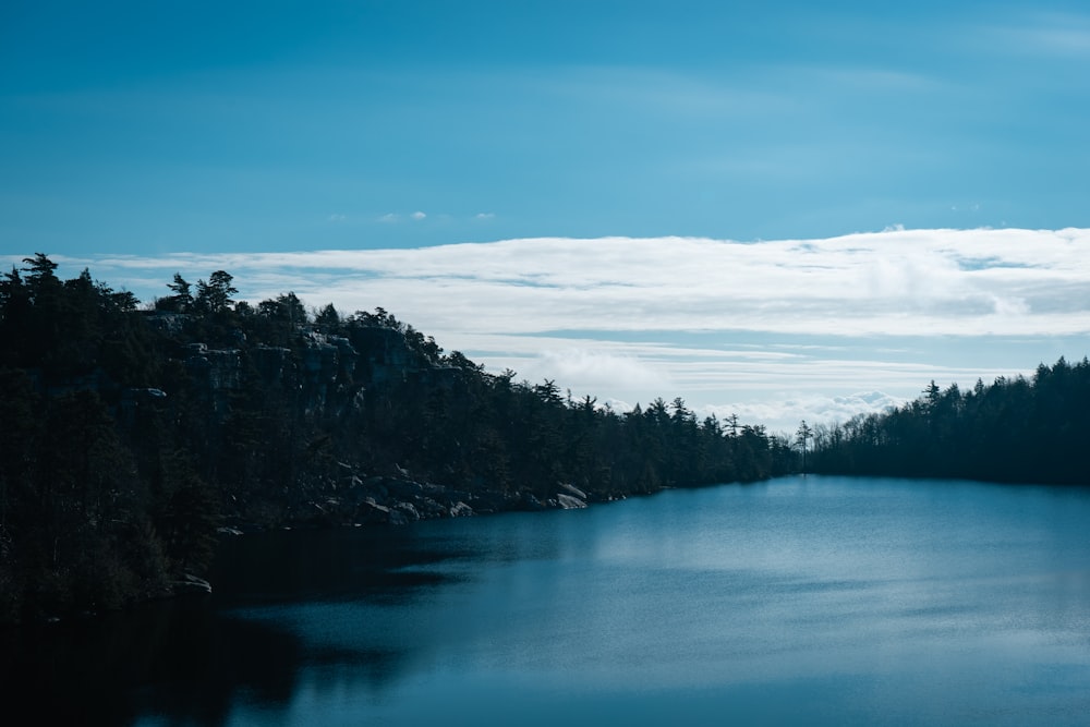 a large body of water surrounded by trees