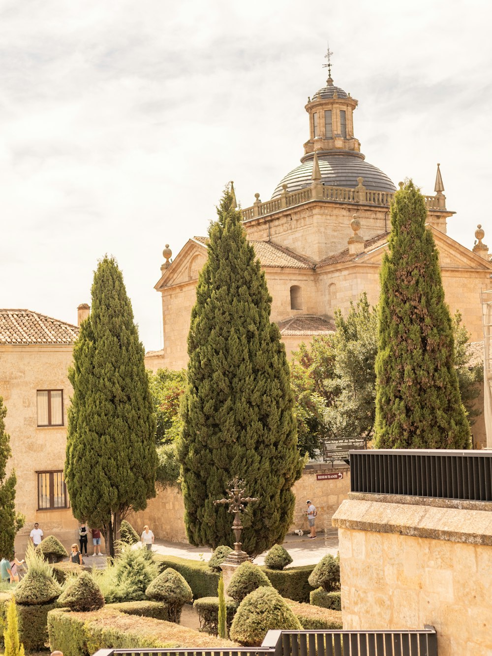 a group of trees and bushes in front of a building