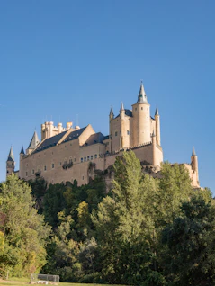 a castle on top of a hill surrounded by trees