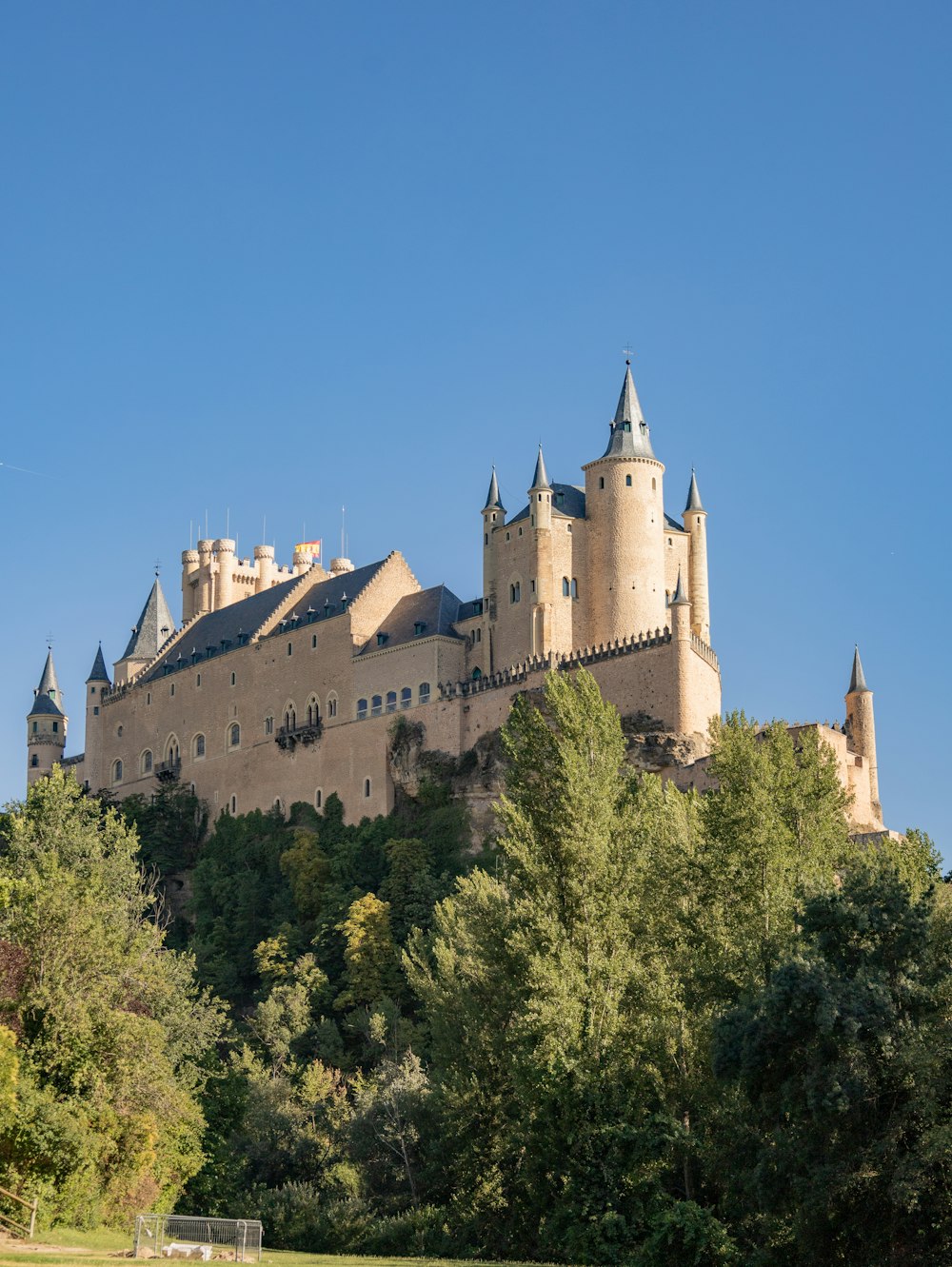 Un castillo en lo alto de una colina rodeado de árboles