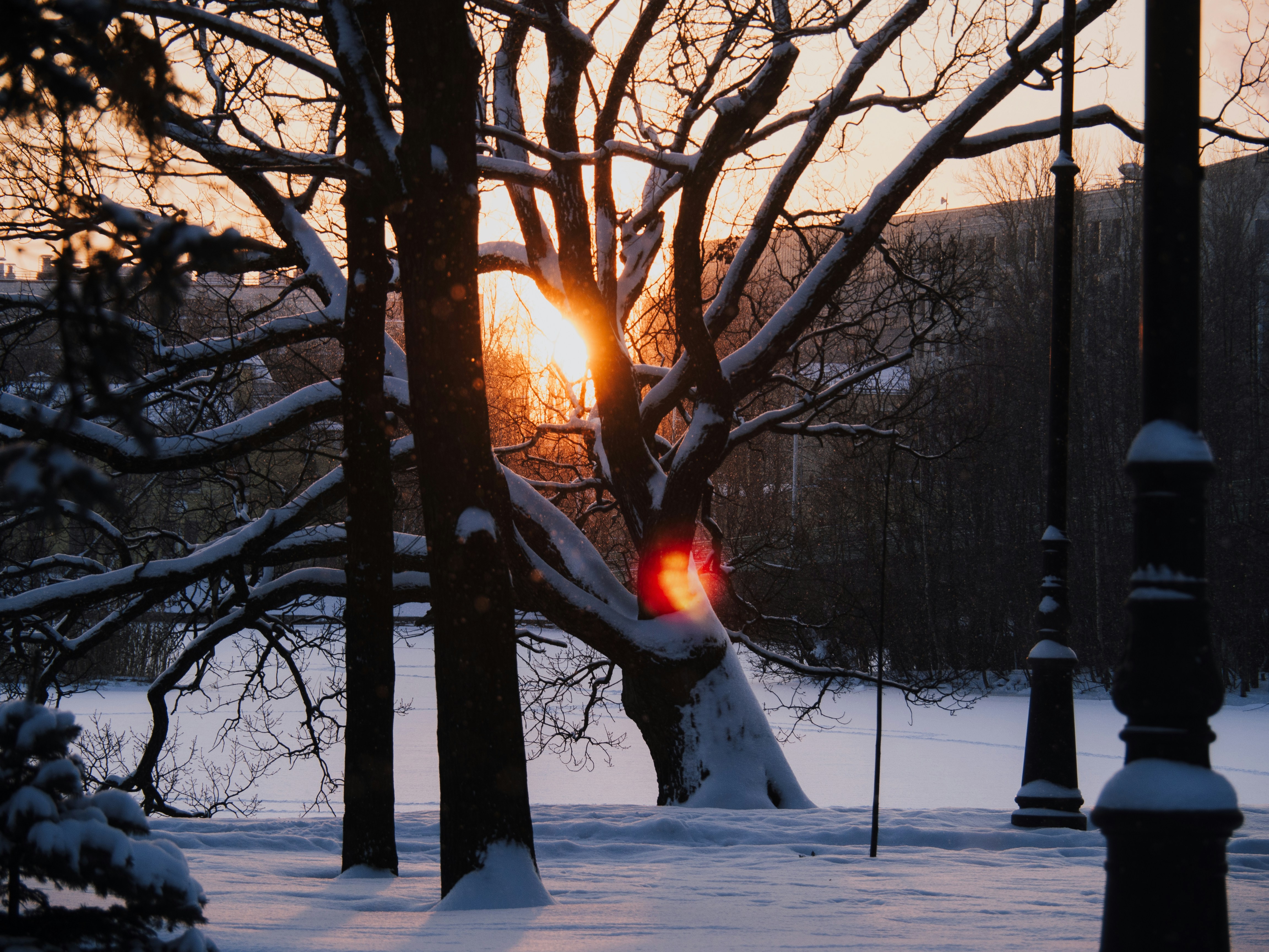 a red traffic light sitting in the middle of a snow covered park, 