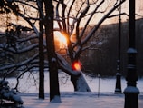 a red traffic light sitting in the middle of a snow covered park