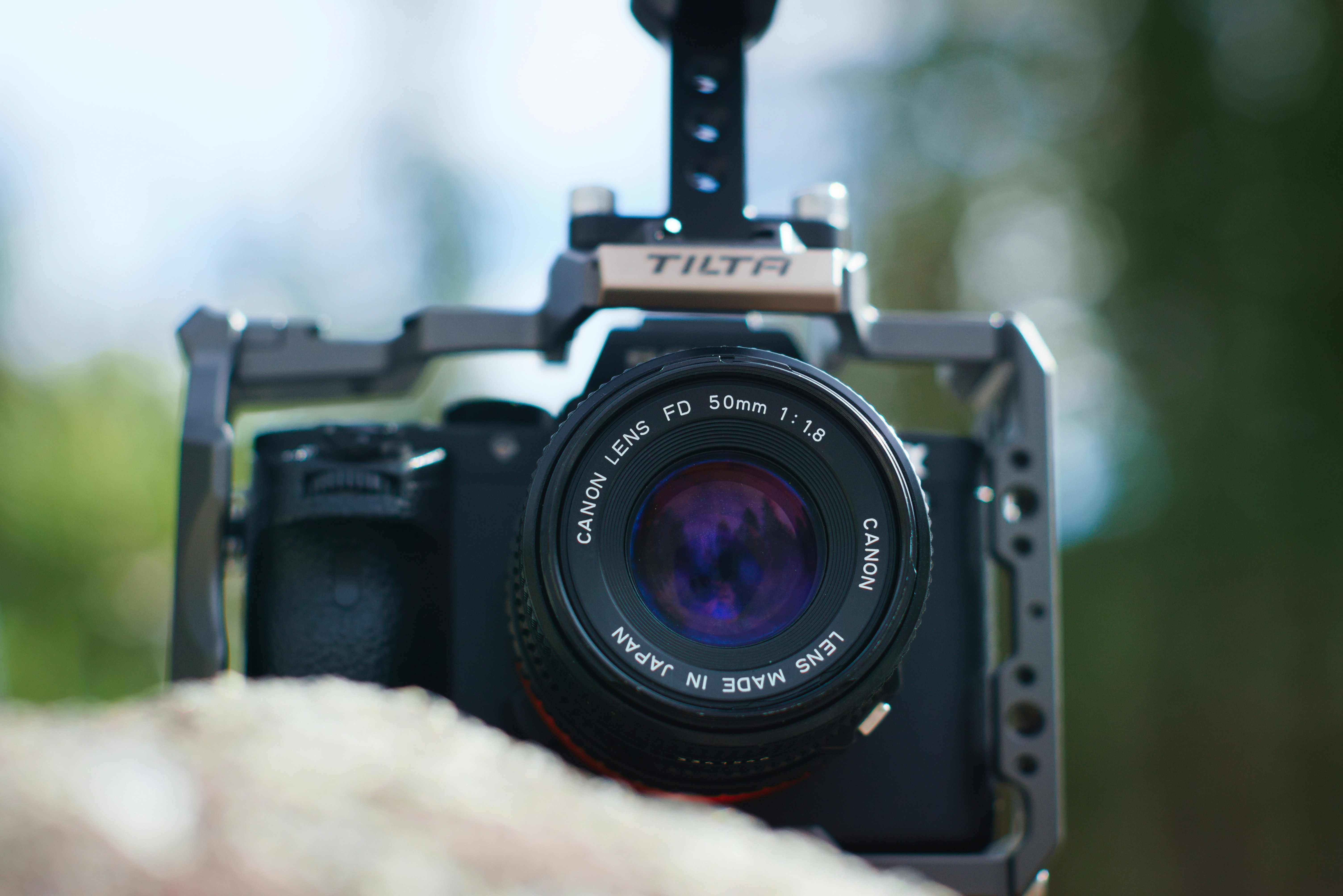 Photo by donovandeanphoto