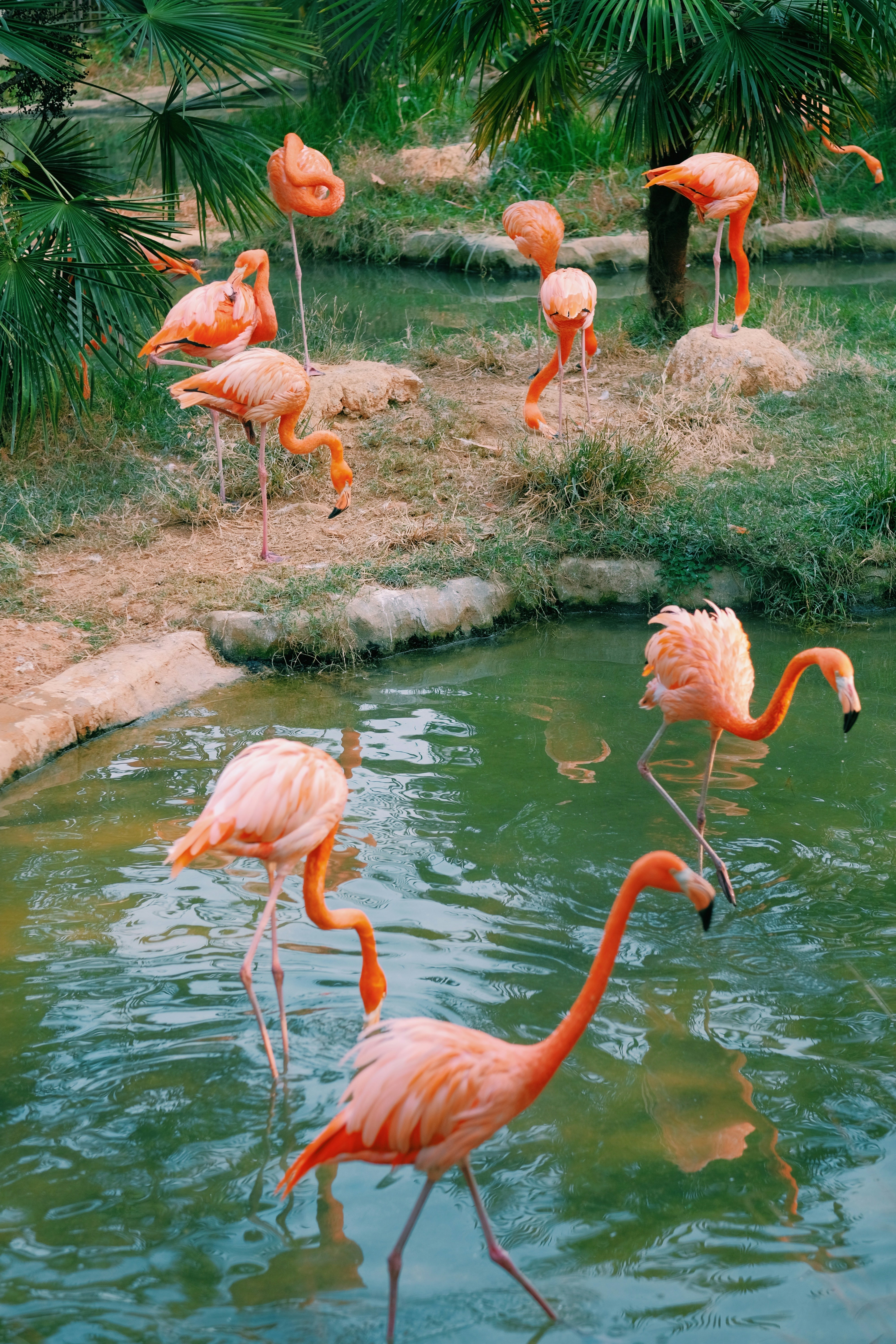 Photo by andydengxiang