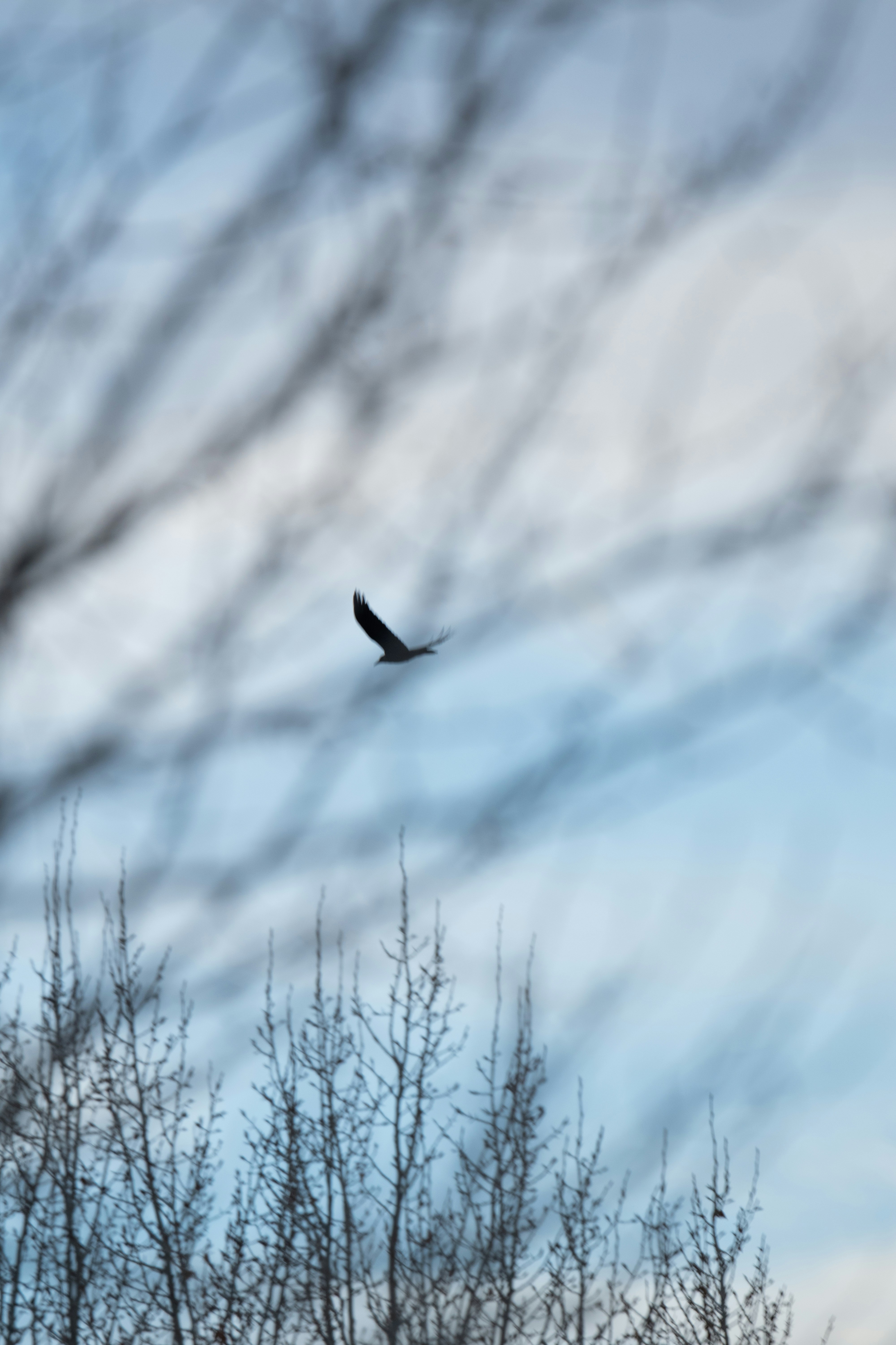 Photo by attaliehart