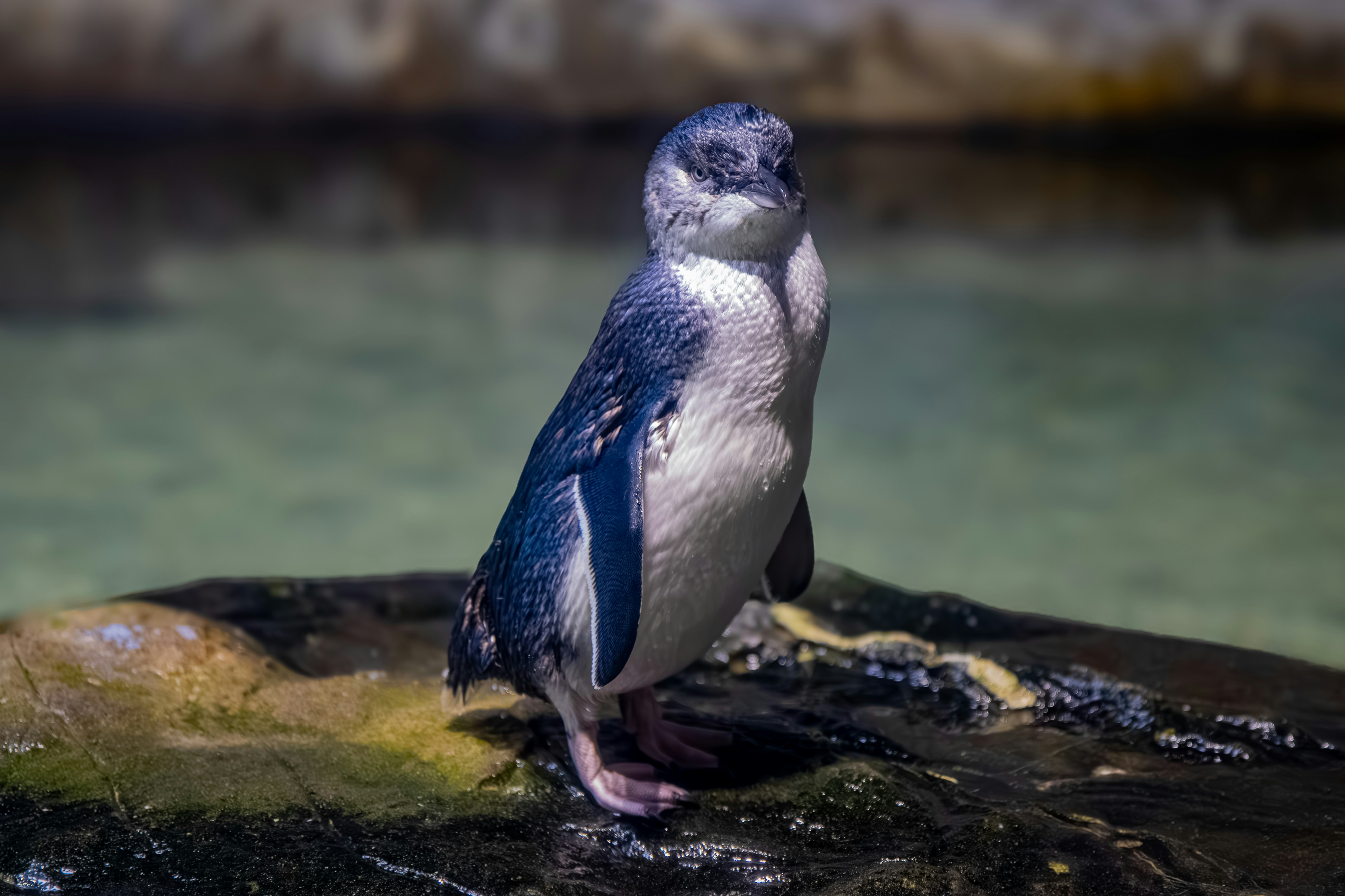 Photo by peterbbryan