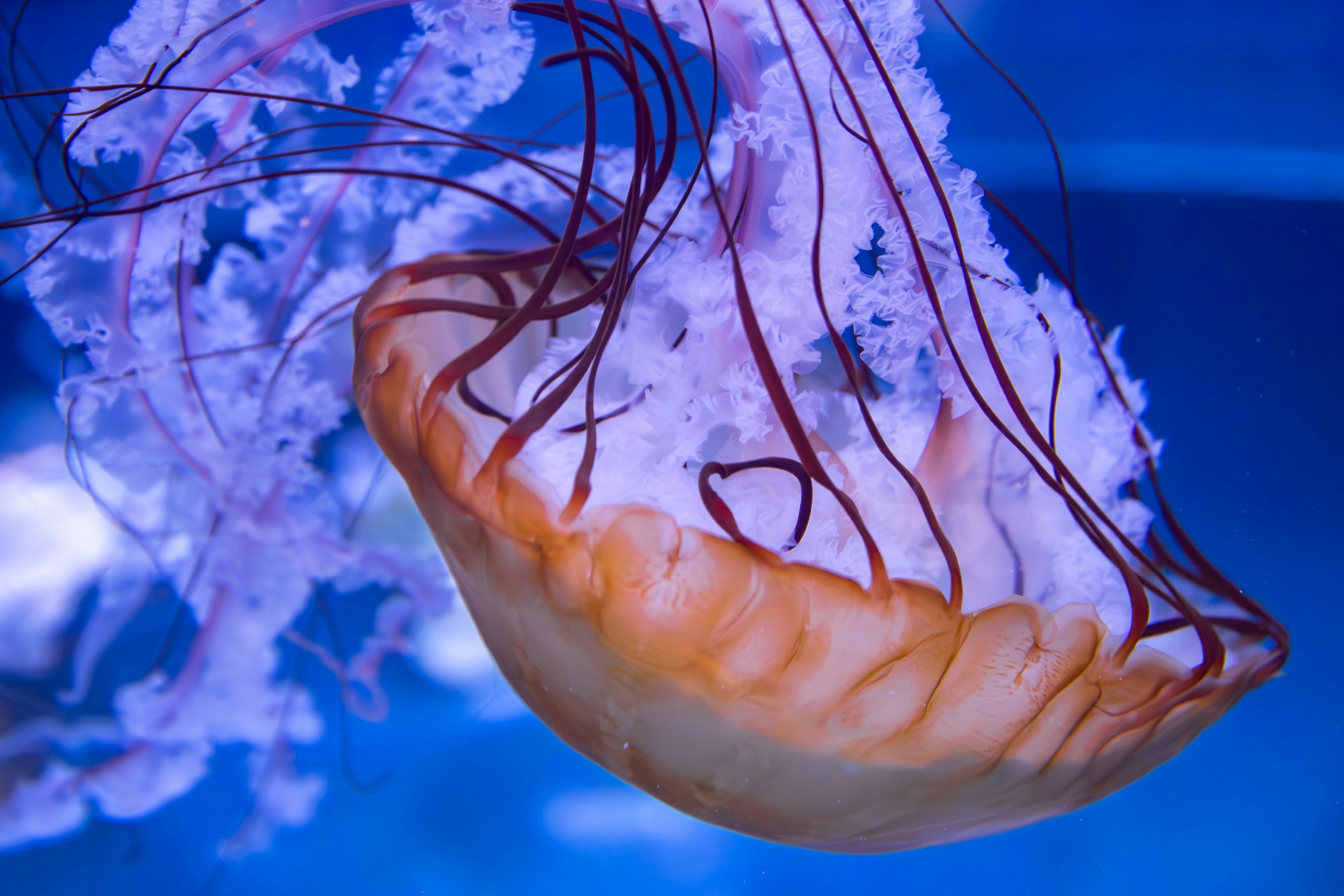 Photo by peterbbryan