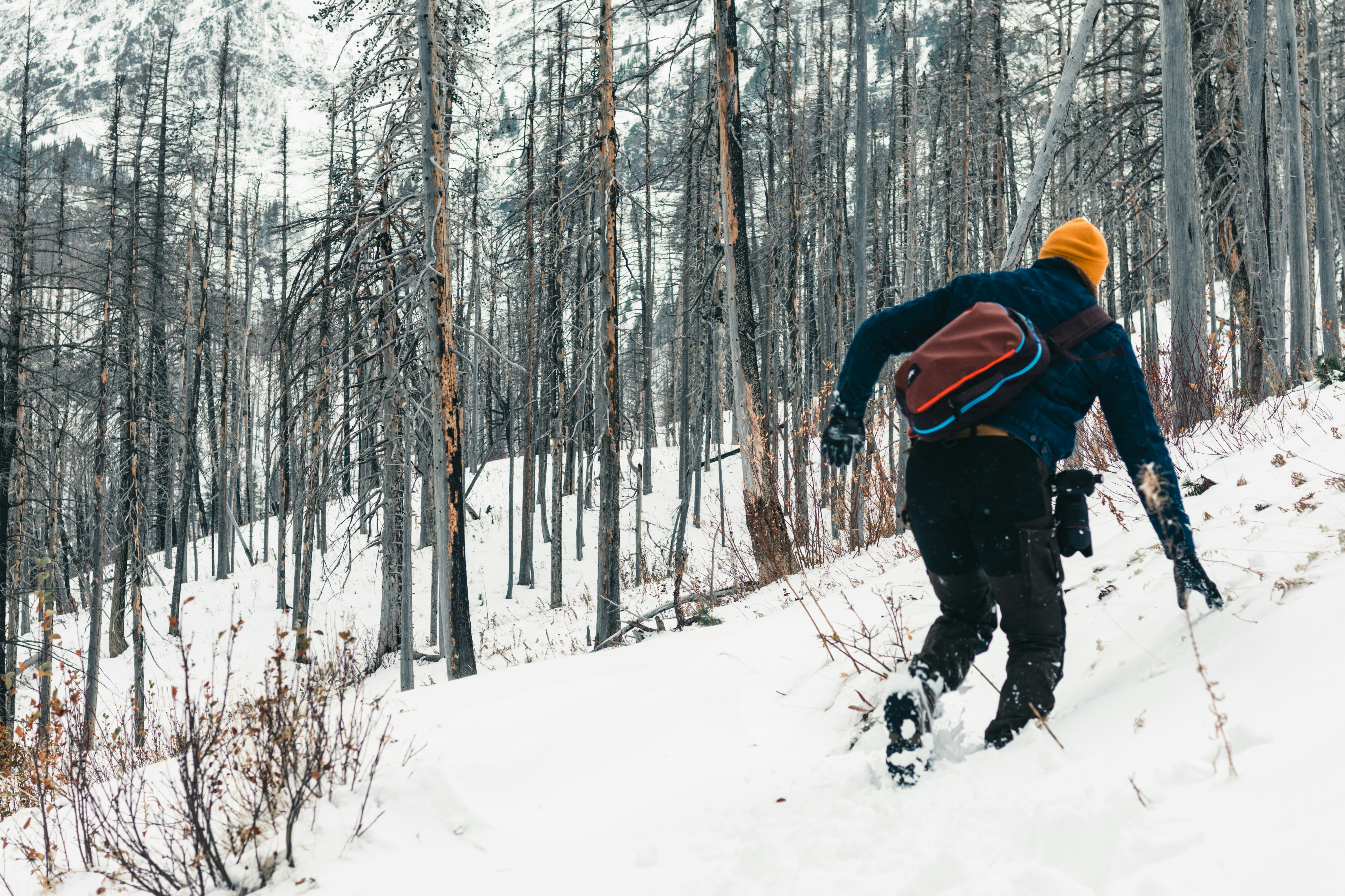 Photo by lureofadventure