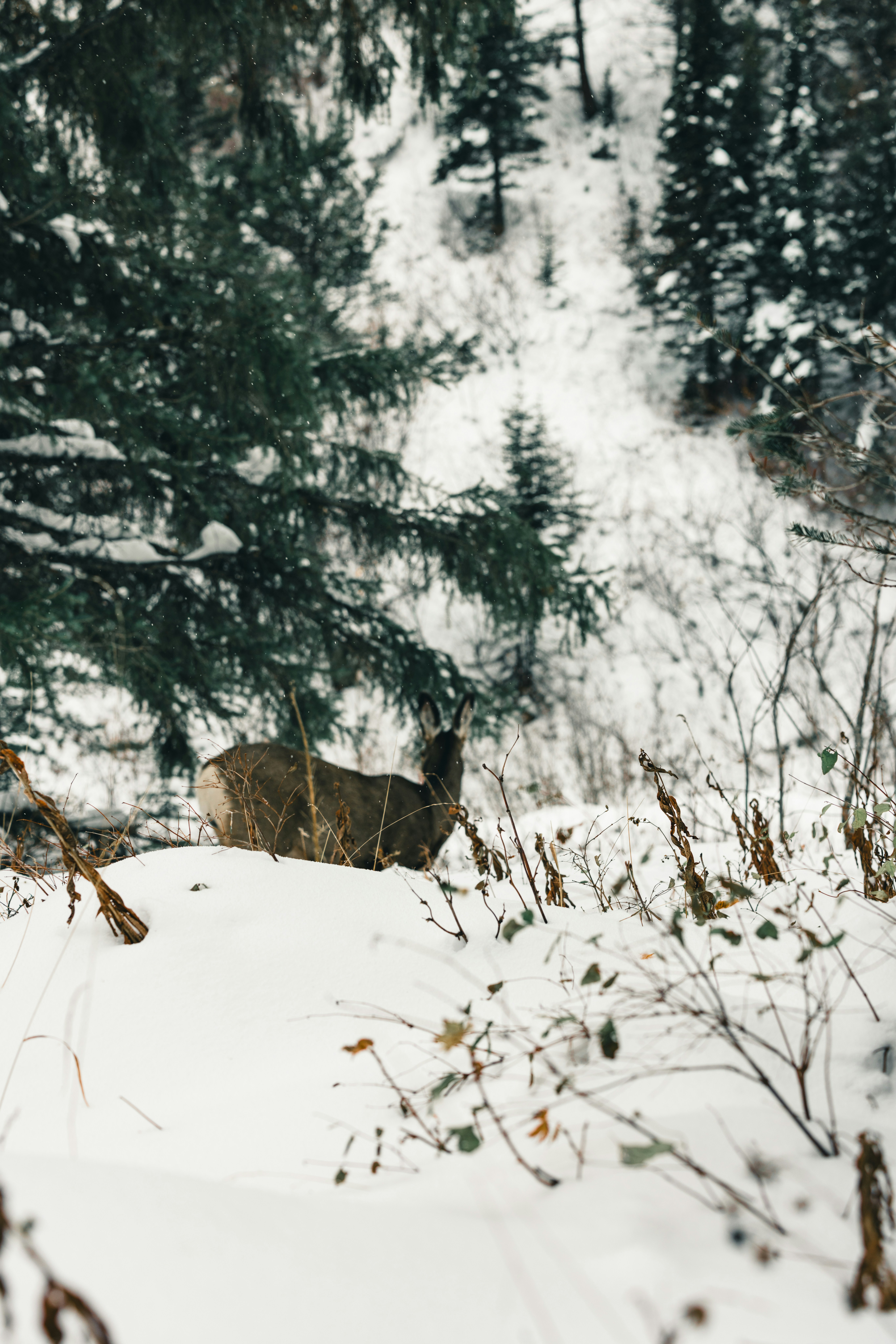 Photo by lureofadventure