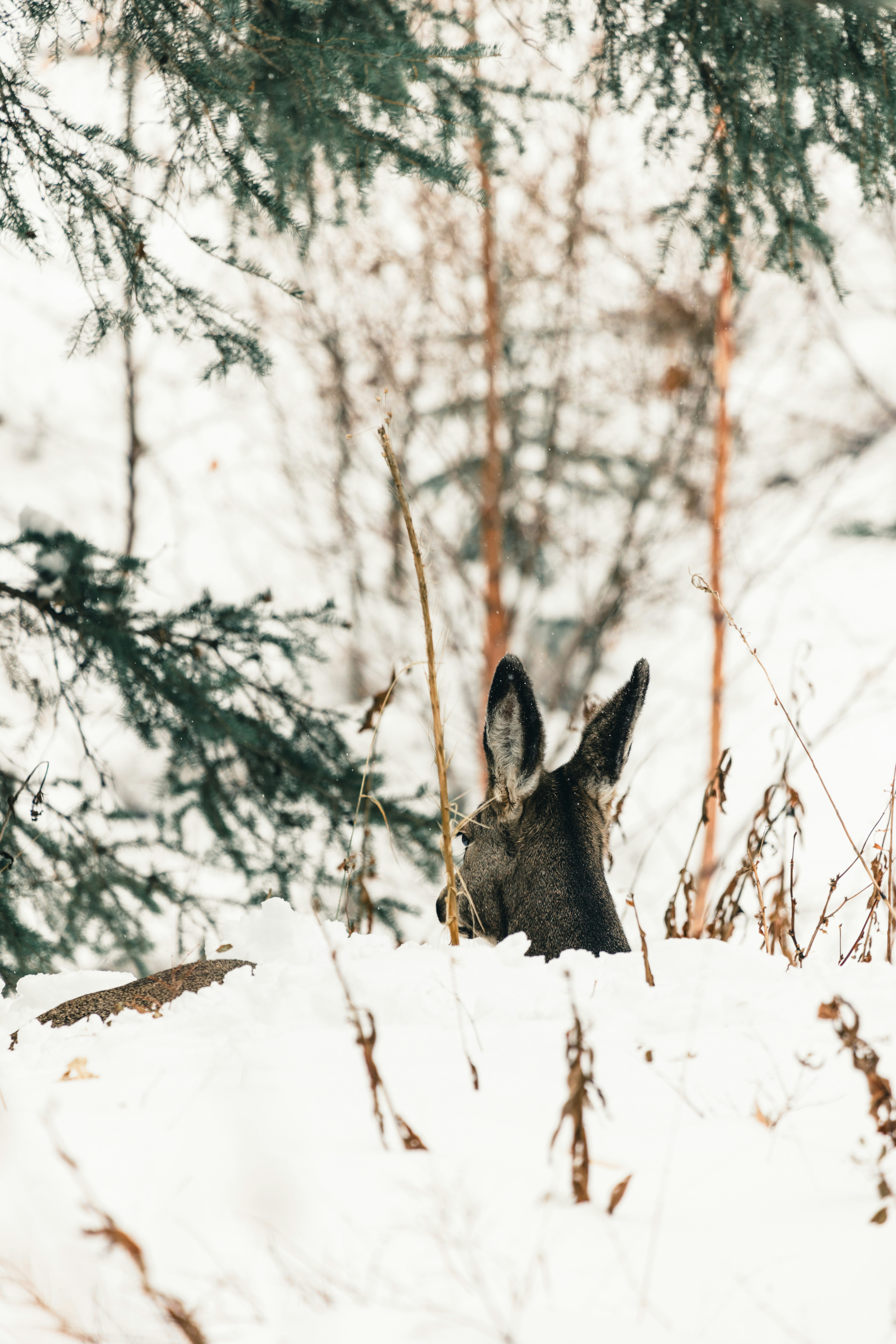 Photo by lureofadventure