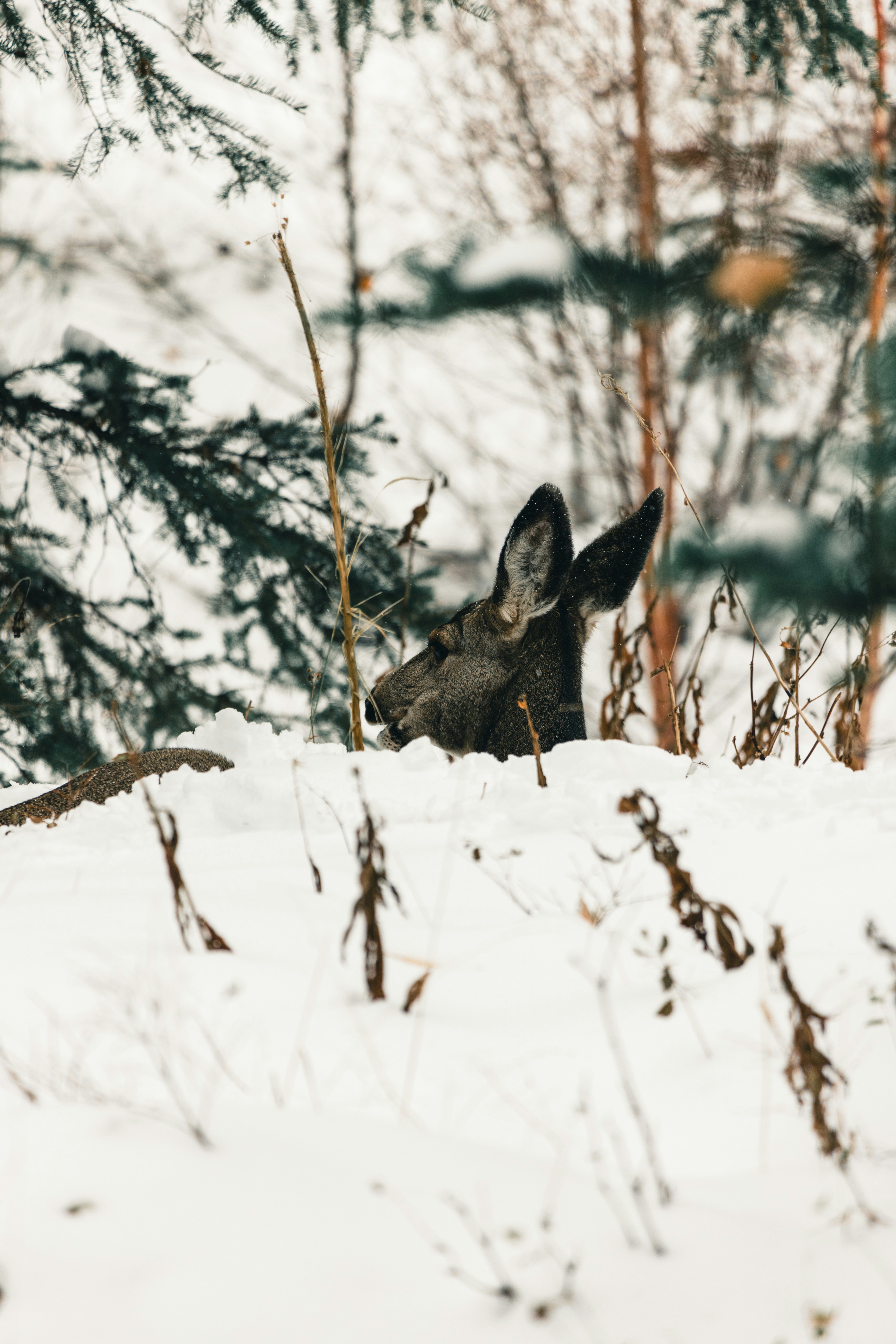Photo by lureofadventure