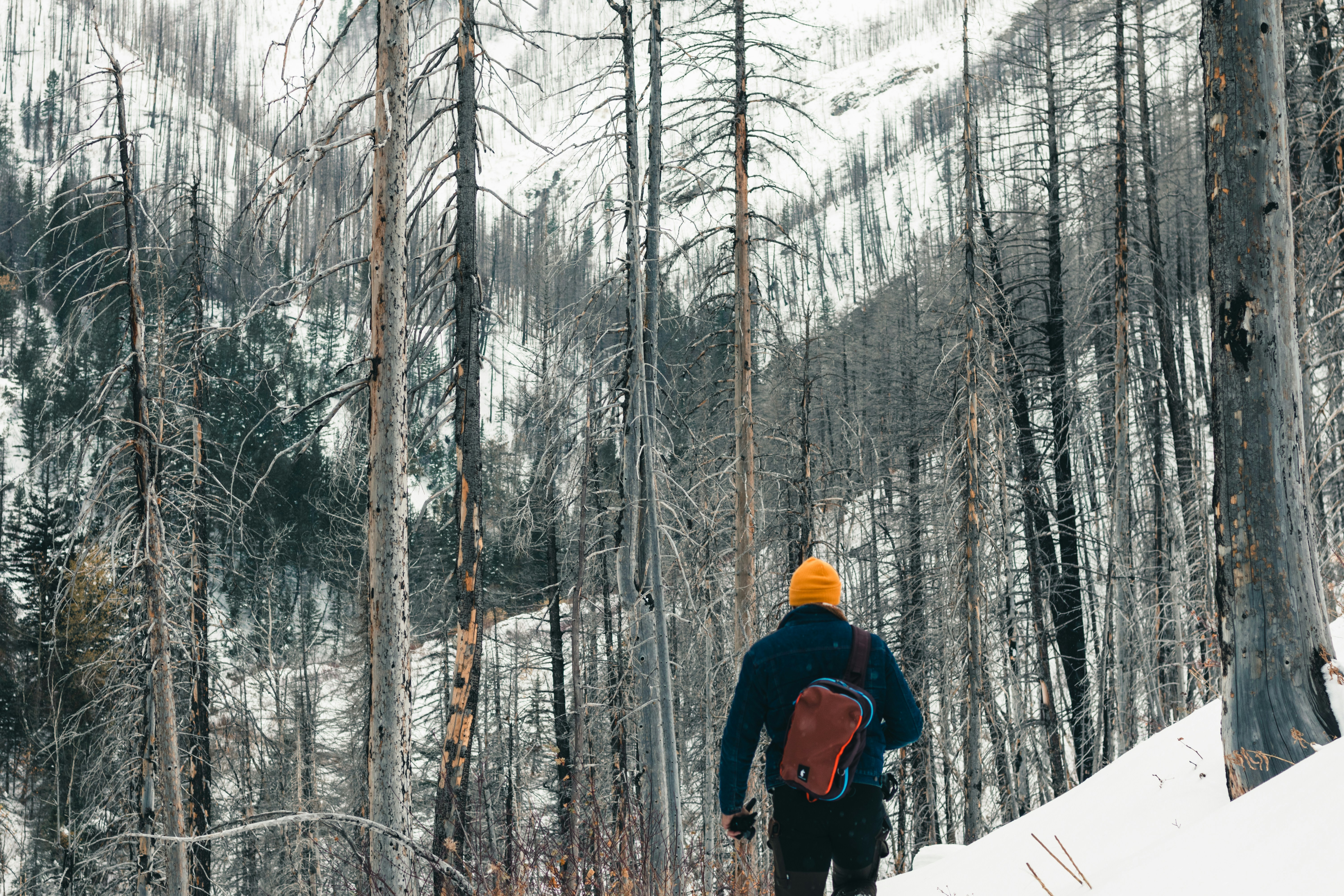 Photo by lureofadventure