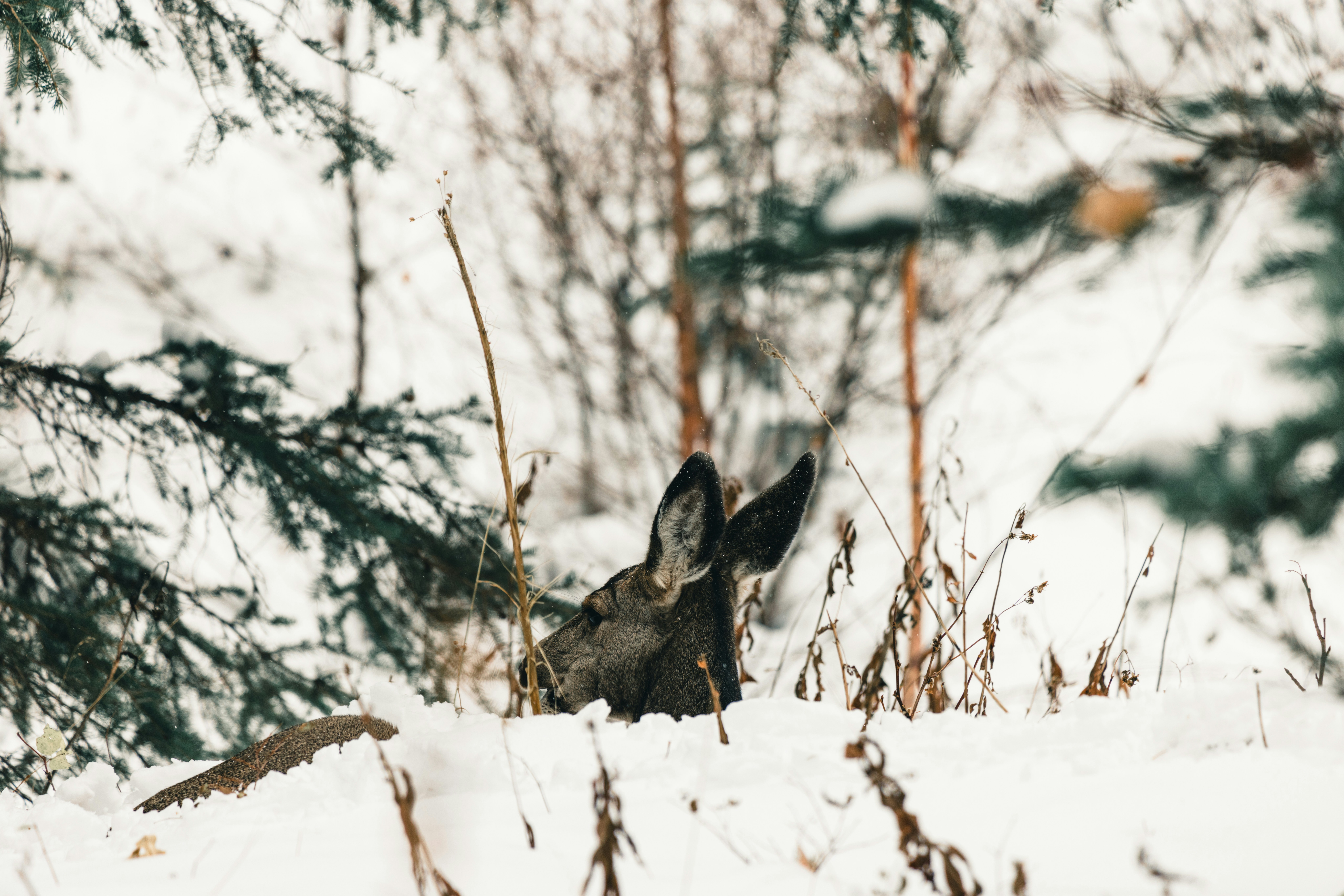 Photo by lureofadventure