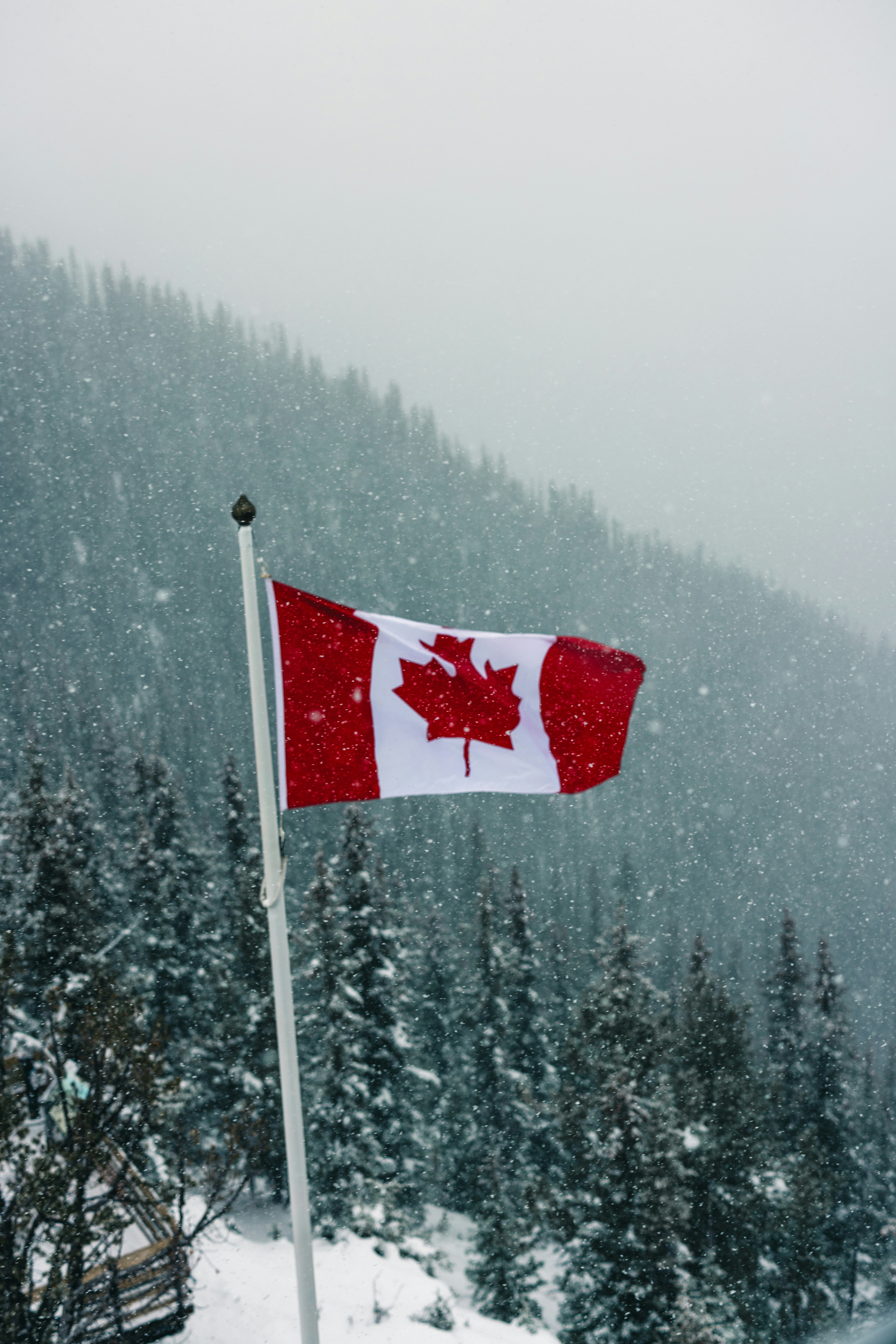 a canadian flag on a pole in the snow